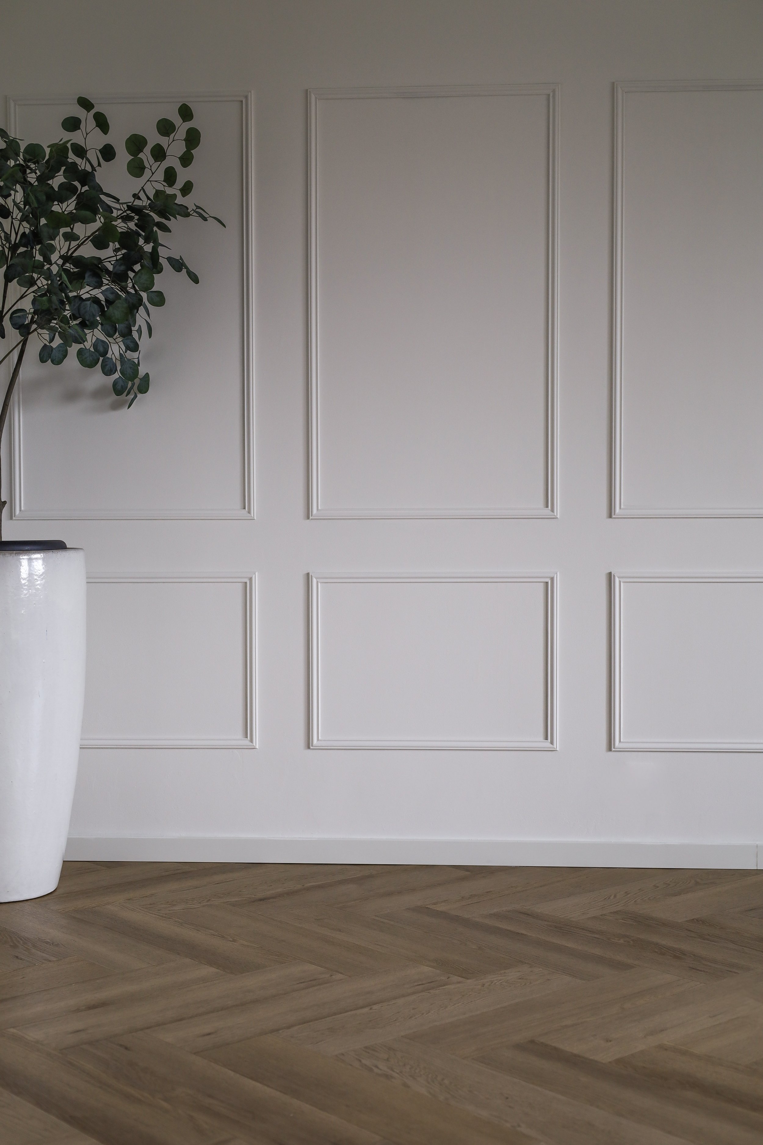 Een witte muur met sierlijsten, een grote groene plant in een witte pot en een houten vloer.