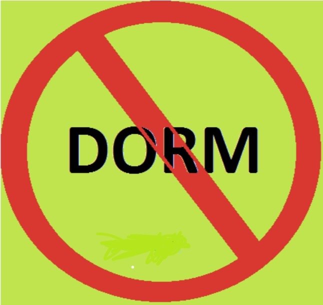 Why Colleges Are Moving Away from the Term "Dorm"