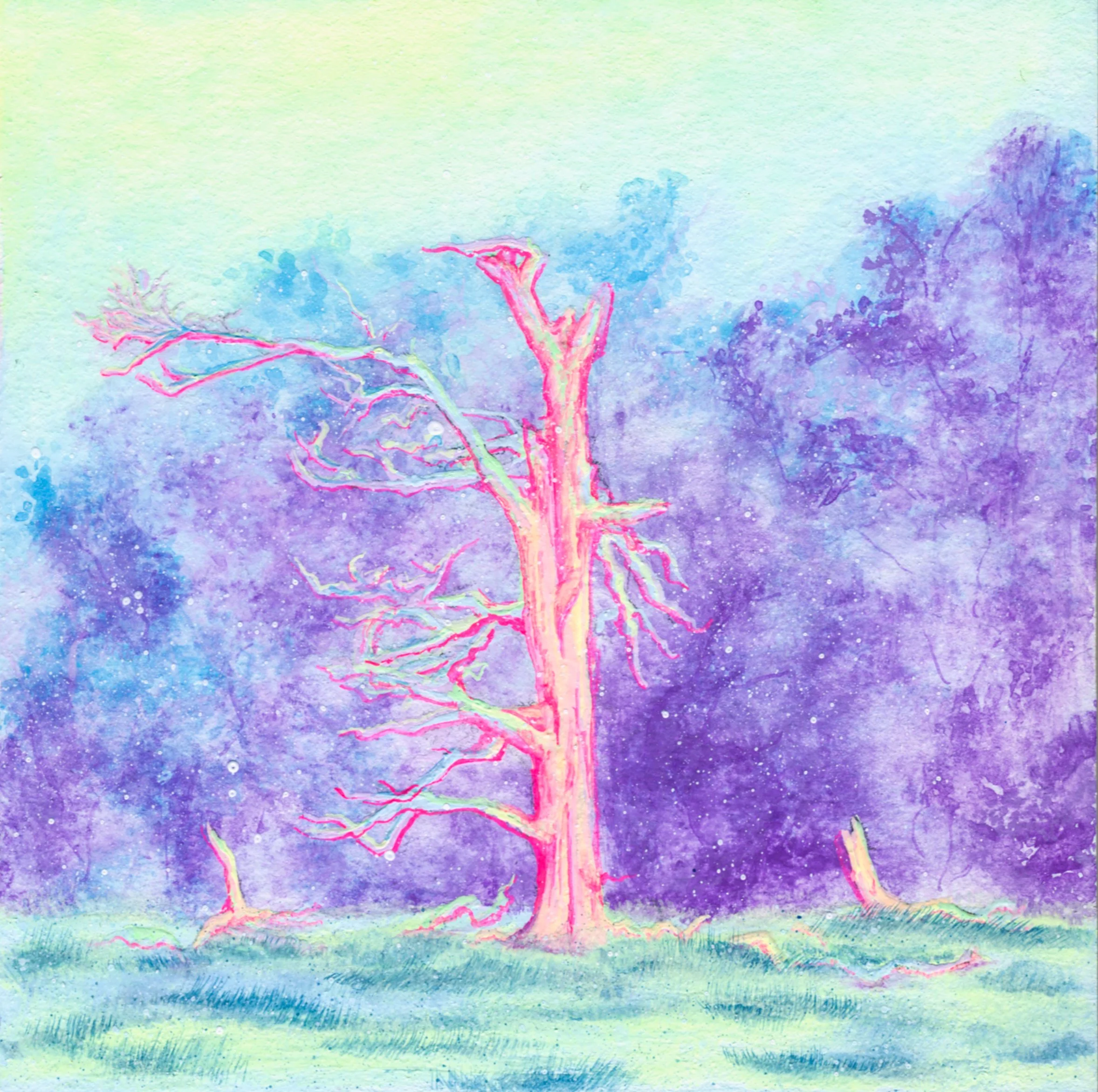 Dead Tree 4in x 4in 2025