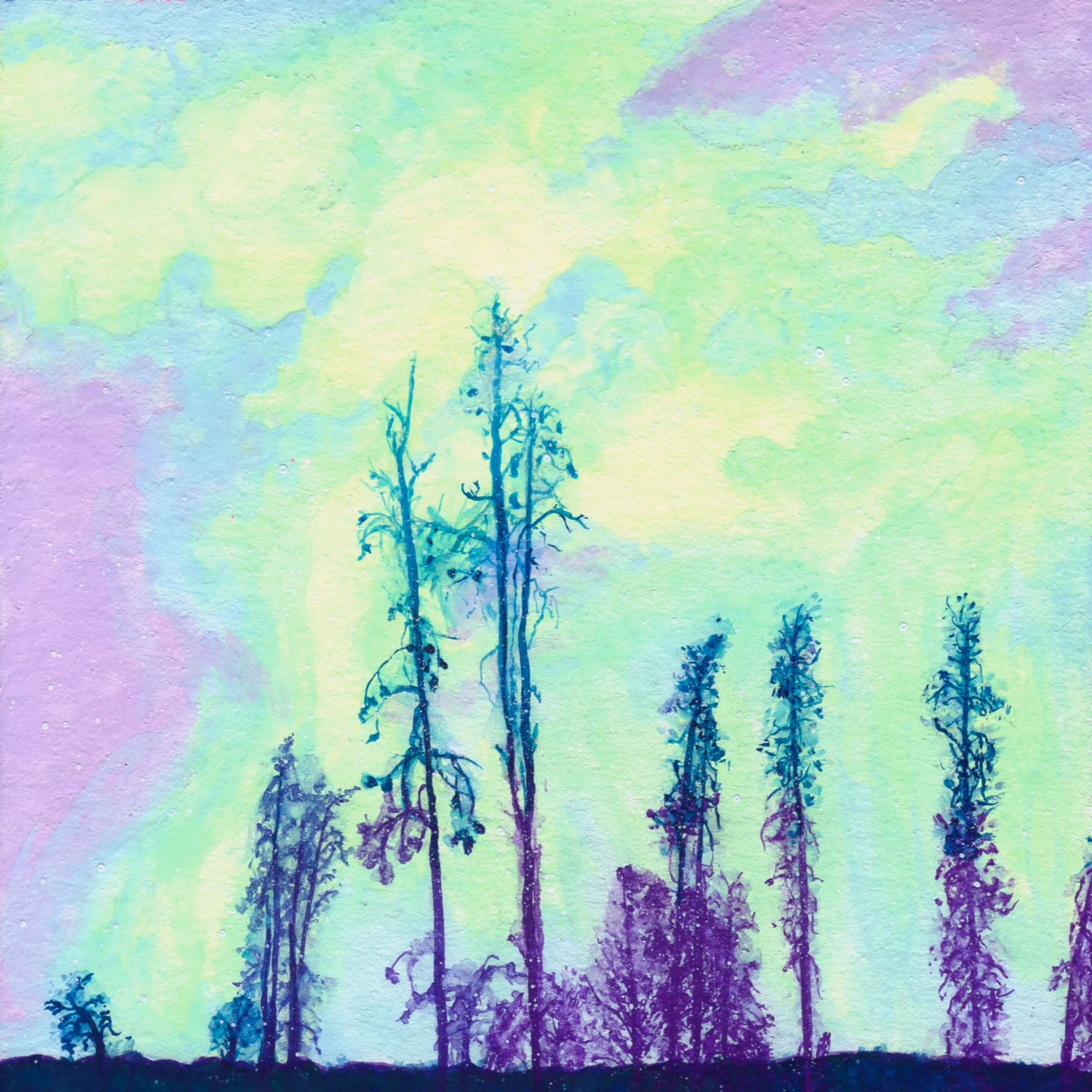 Forest Fire