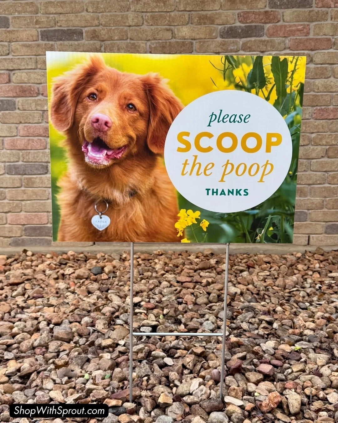 Pet Waste Sign: Please Scoop The Poop (Yellow)