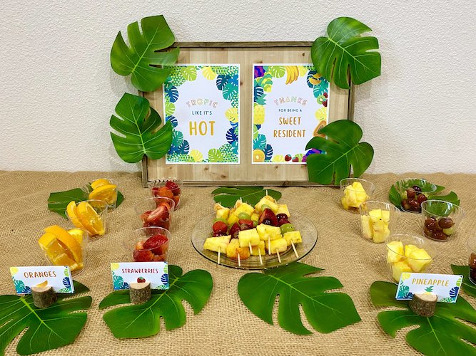 Stock Photo Tropics Fruit Spread Real Life Mock.jpeg