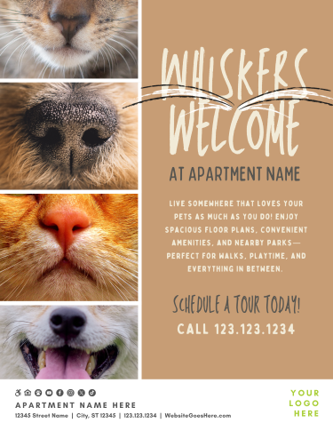 CA6213-Whiskers+Welcome+Outreach.webp