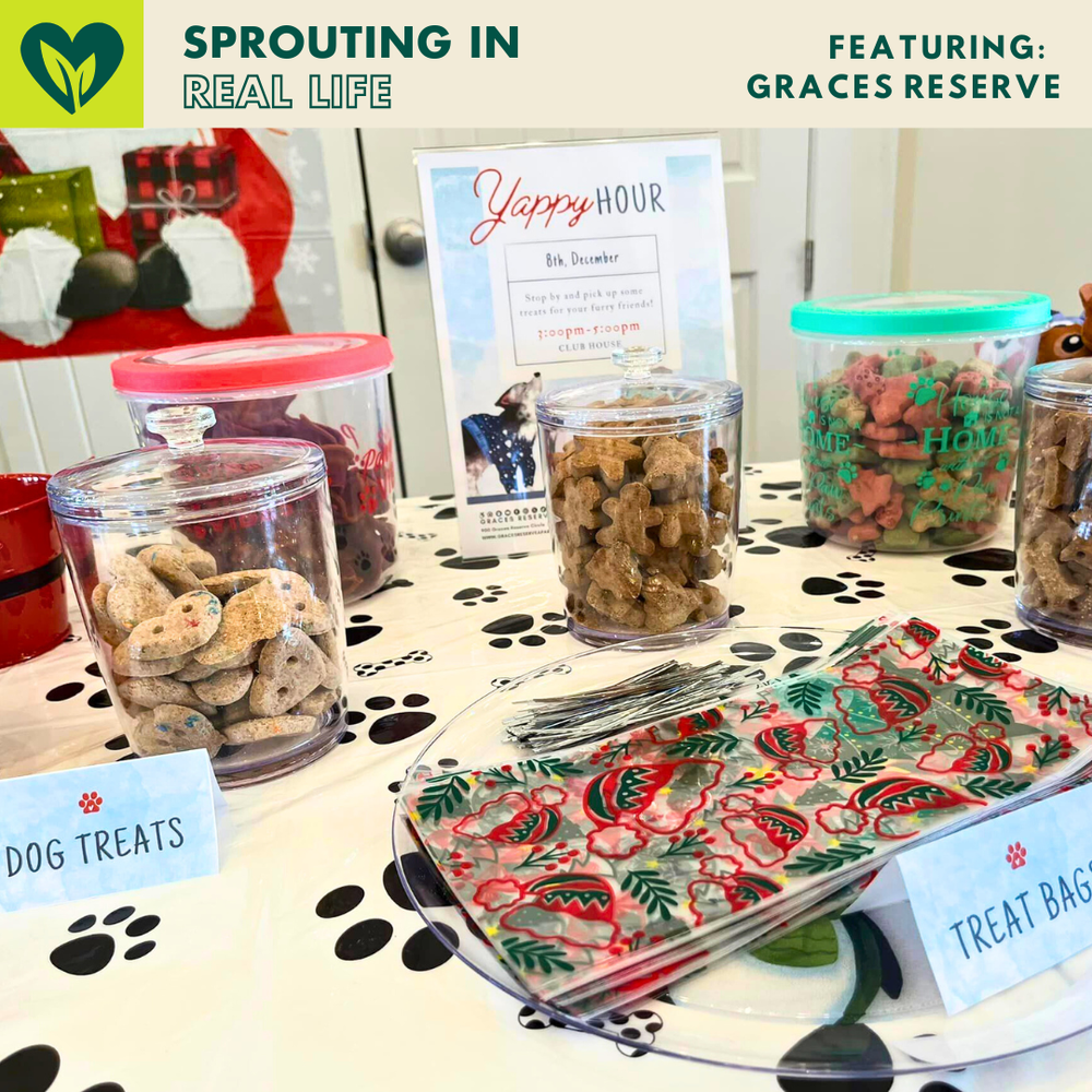 Sprouter+Graces+Reserve+Winter+Paw+Bar+Mock.webp