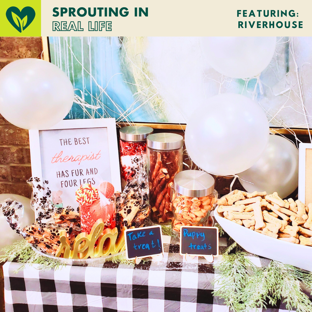 Sprouter+Riverhouse+Riverhouse+Pet+Bar+Mock.webp