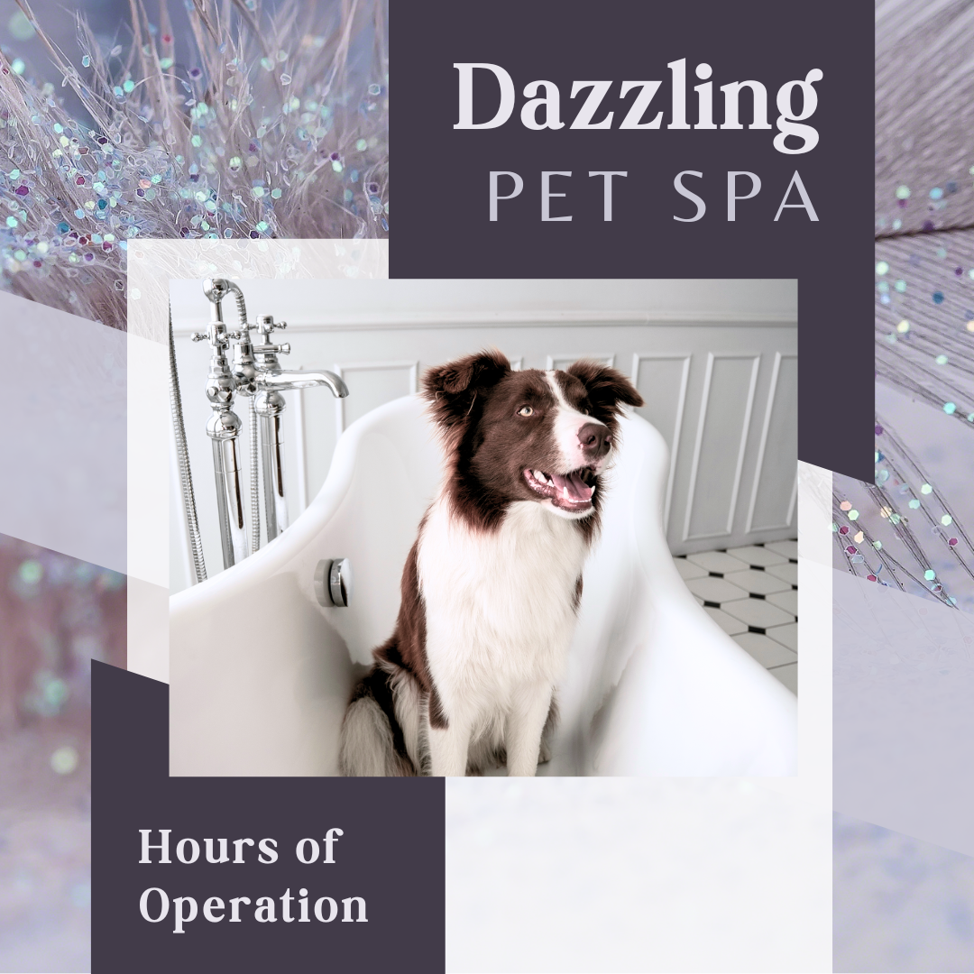 CAIG2624-Dazzling Pet Spa Hours.png