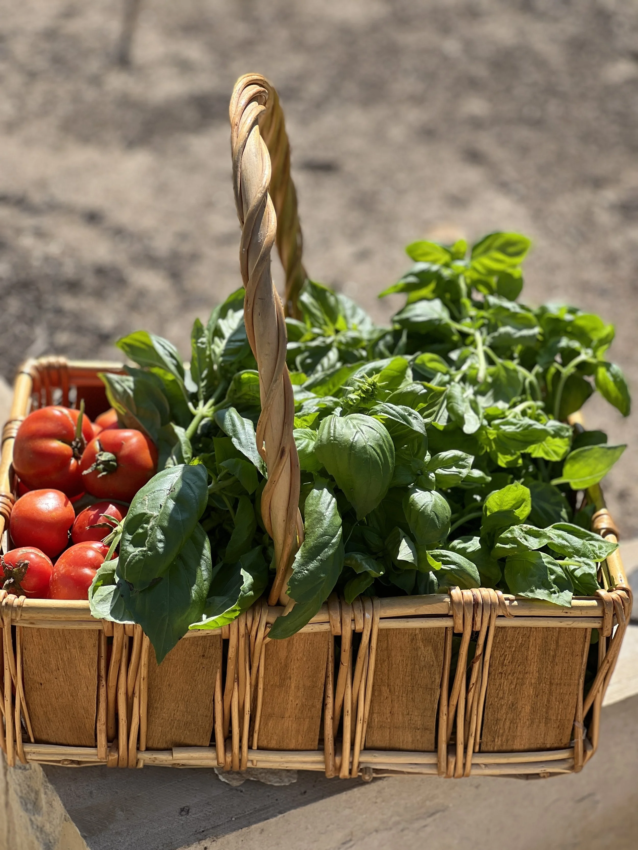 Growing Community through Apartment Events.jpg