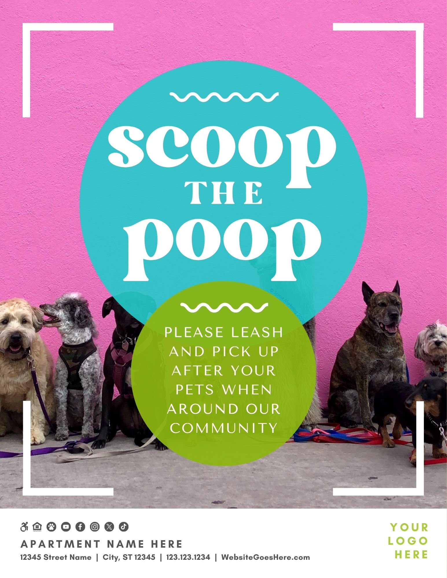 CA1570 Pet Pickup Designs for Apartments.jpg