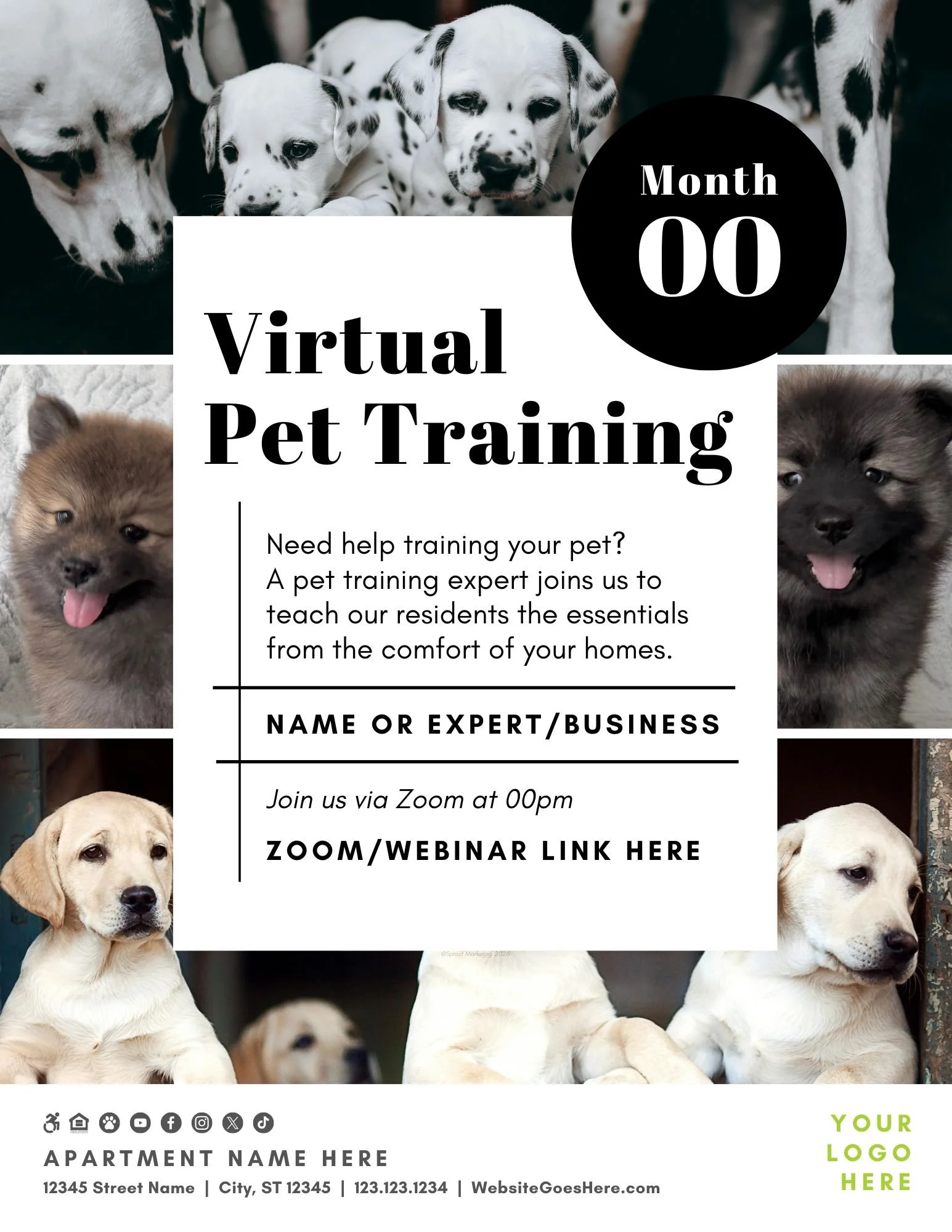 CA6603-Virtual Pet Training Event For Apartments.jpg