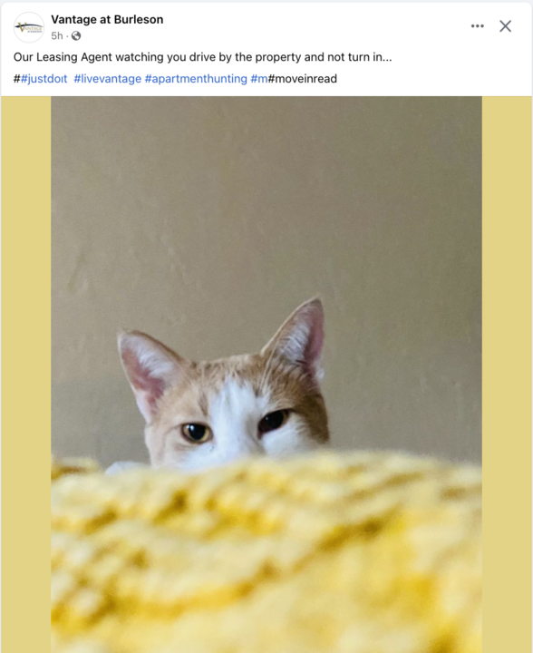 Pet-forward apartment marketing -using sprout marketing.png