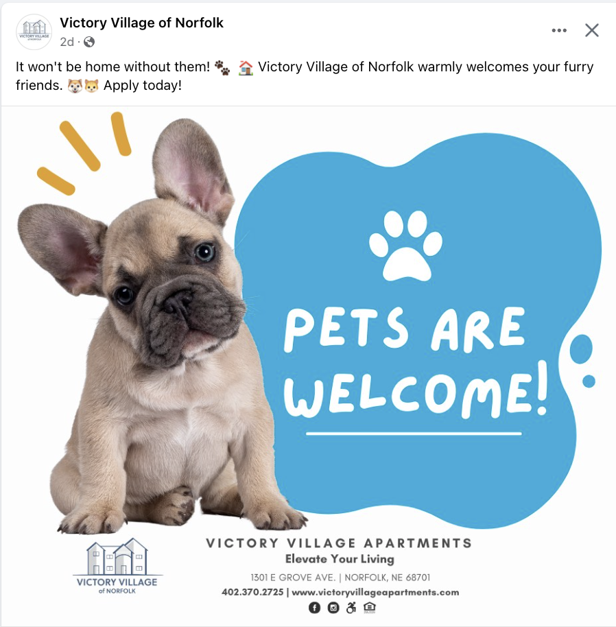 Pet-forward apartment marketing from sprout marketing.png