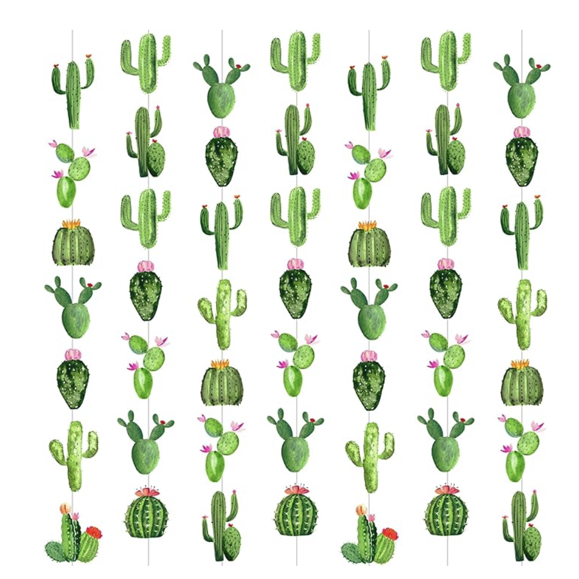 Cactus Garlands.png