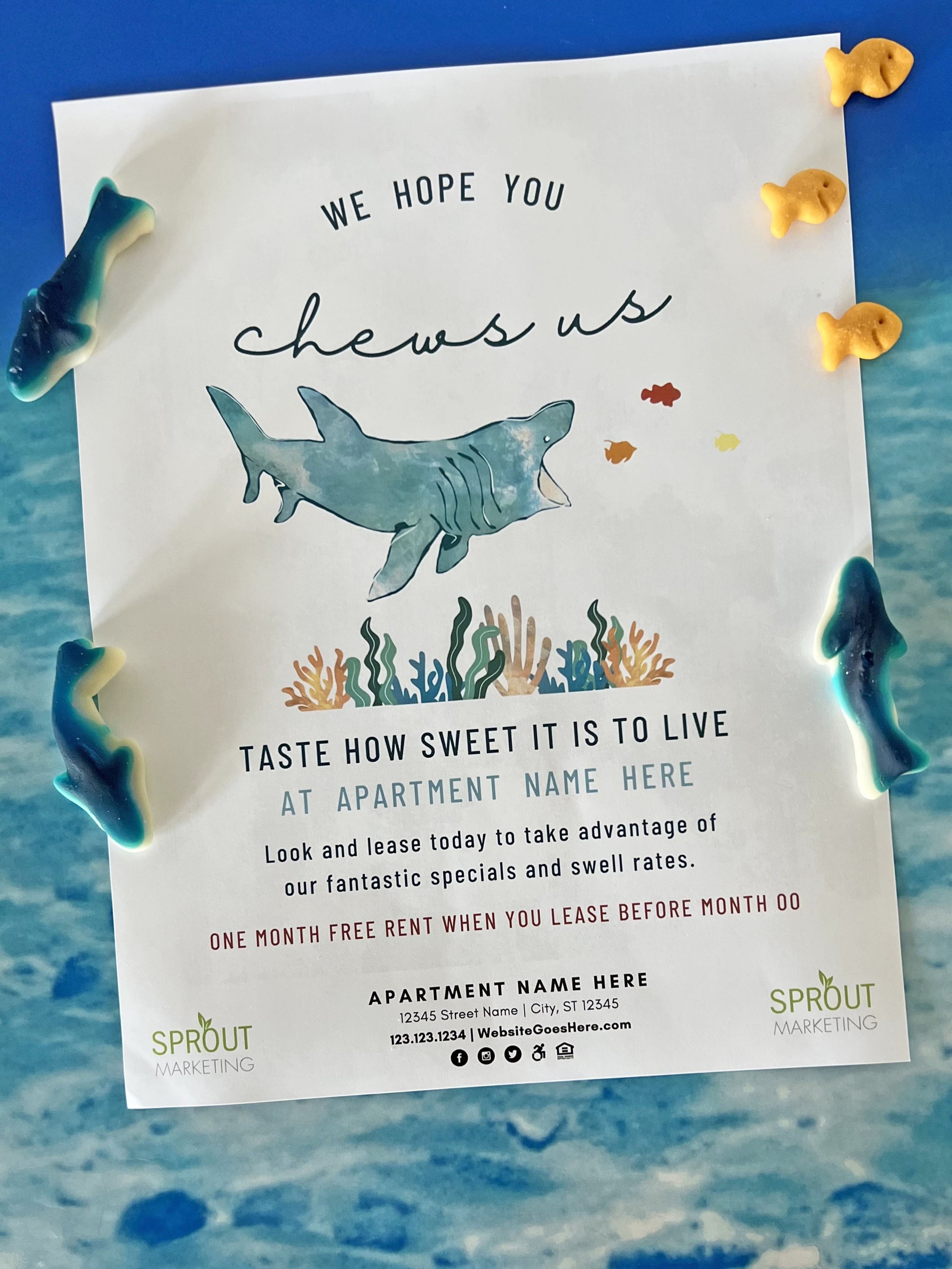 shark outreach for apartments.jpg