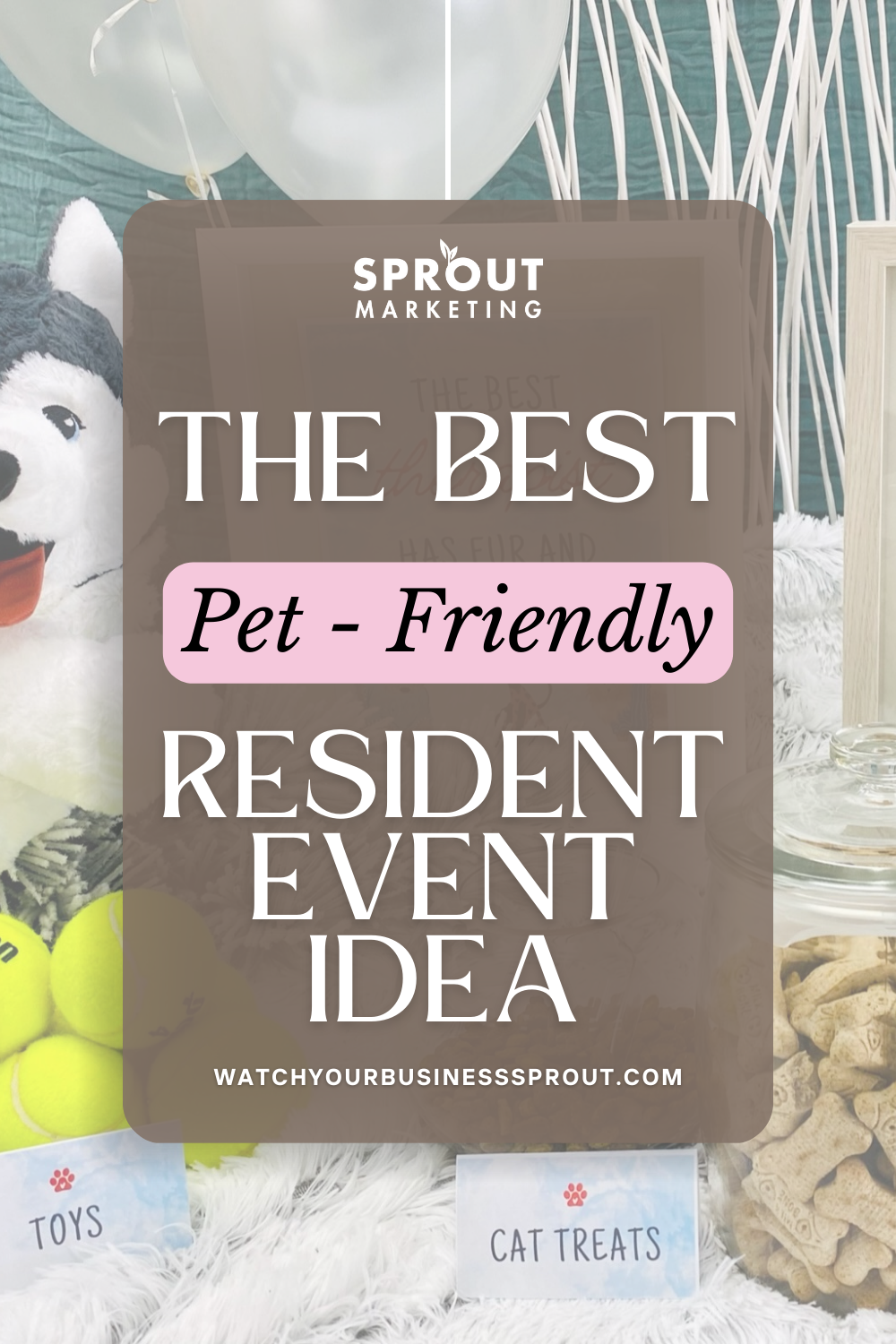 pet-friendly ideas for higher resident retention