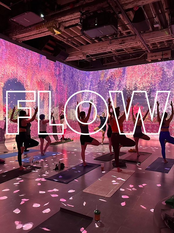yoga8.png