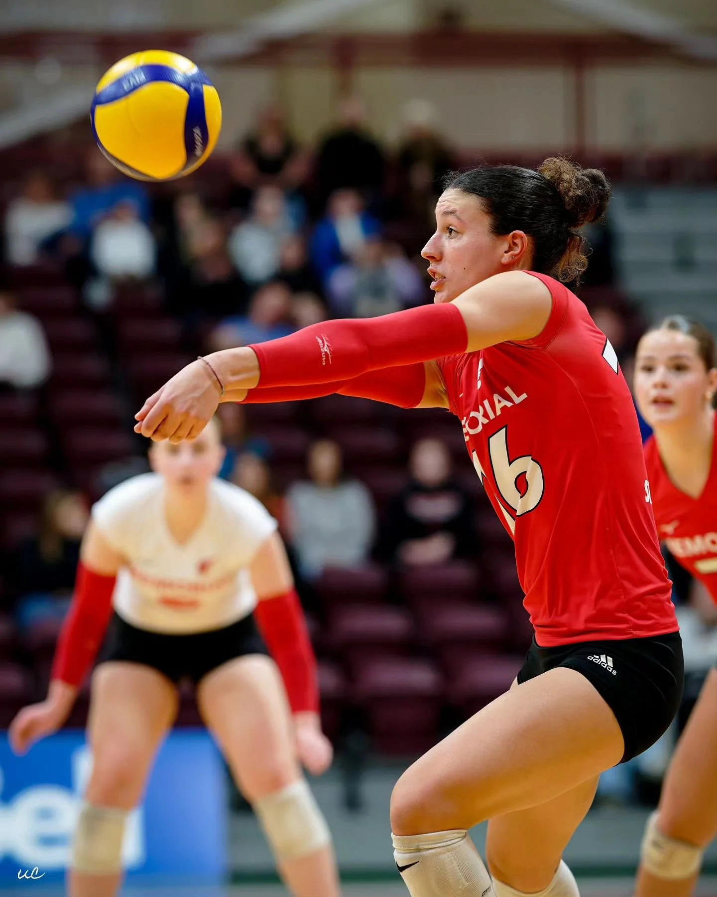 Frames from last Saturday's game against Dal at the Field House! Incredible atmosphere and an amazing win! 🦅🏐✨

#nikoncreators #collegesports #womensvolleyball