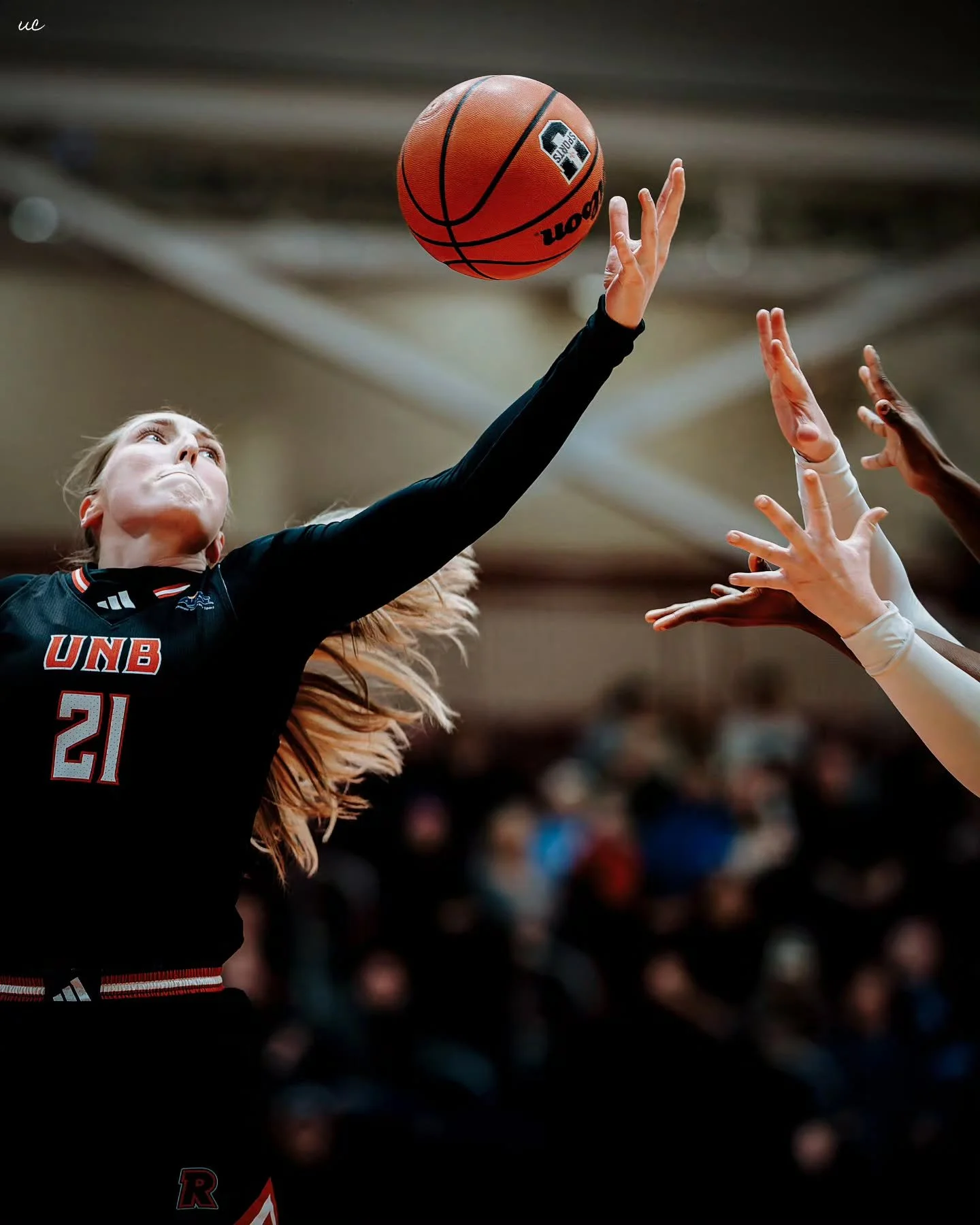 I&rsquo;m always pushing for those artistic, hard to get action shots, and this might be one of my favourites of the AUS season so far. Caught it last night during the MUN vs UNB matchup 🏀

#AUS #USPORTS #SportsPhotography #GameDayShots #CollegeHoop