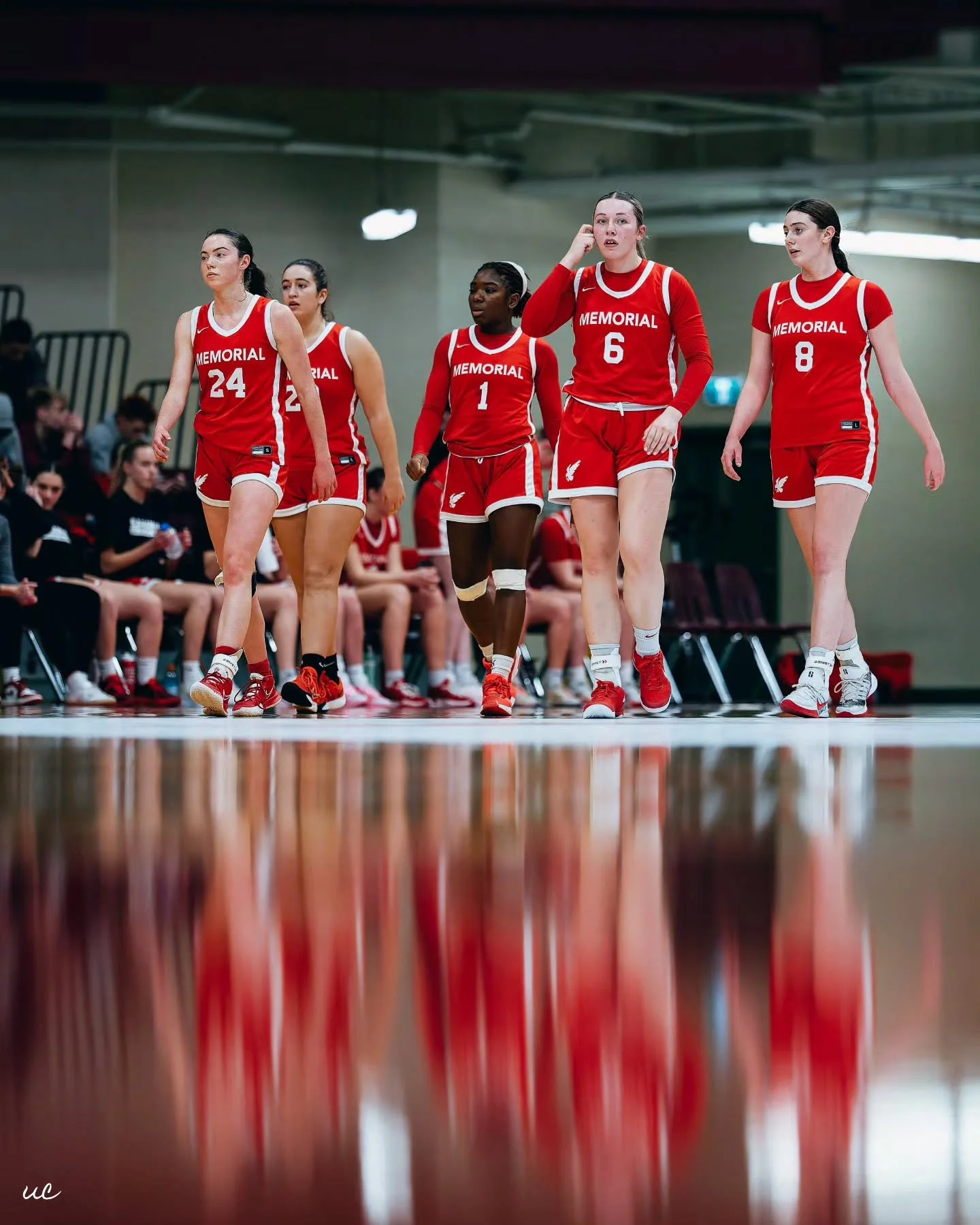 Camera roll from the weekend be like ...... 🏀📸

#sportsphotography #basketballshots #weekendcaptures #nikoncreators #Z9