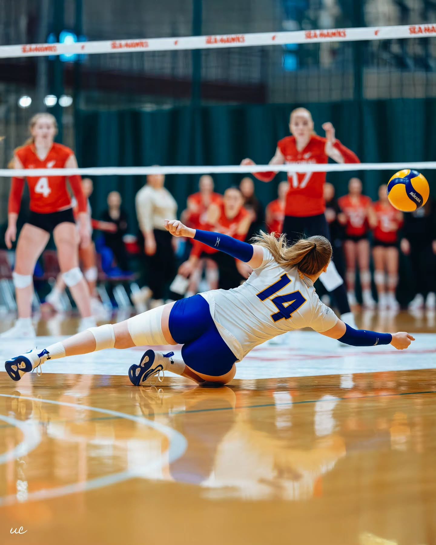 Some of my favorite captures of the @vb_aiglesbleues from the weekend against Memorial 📸🏐✨ @nikoncanada

#USPORTS #UniversityVolleyball #WomensVolleyball