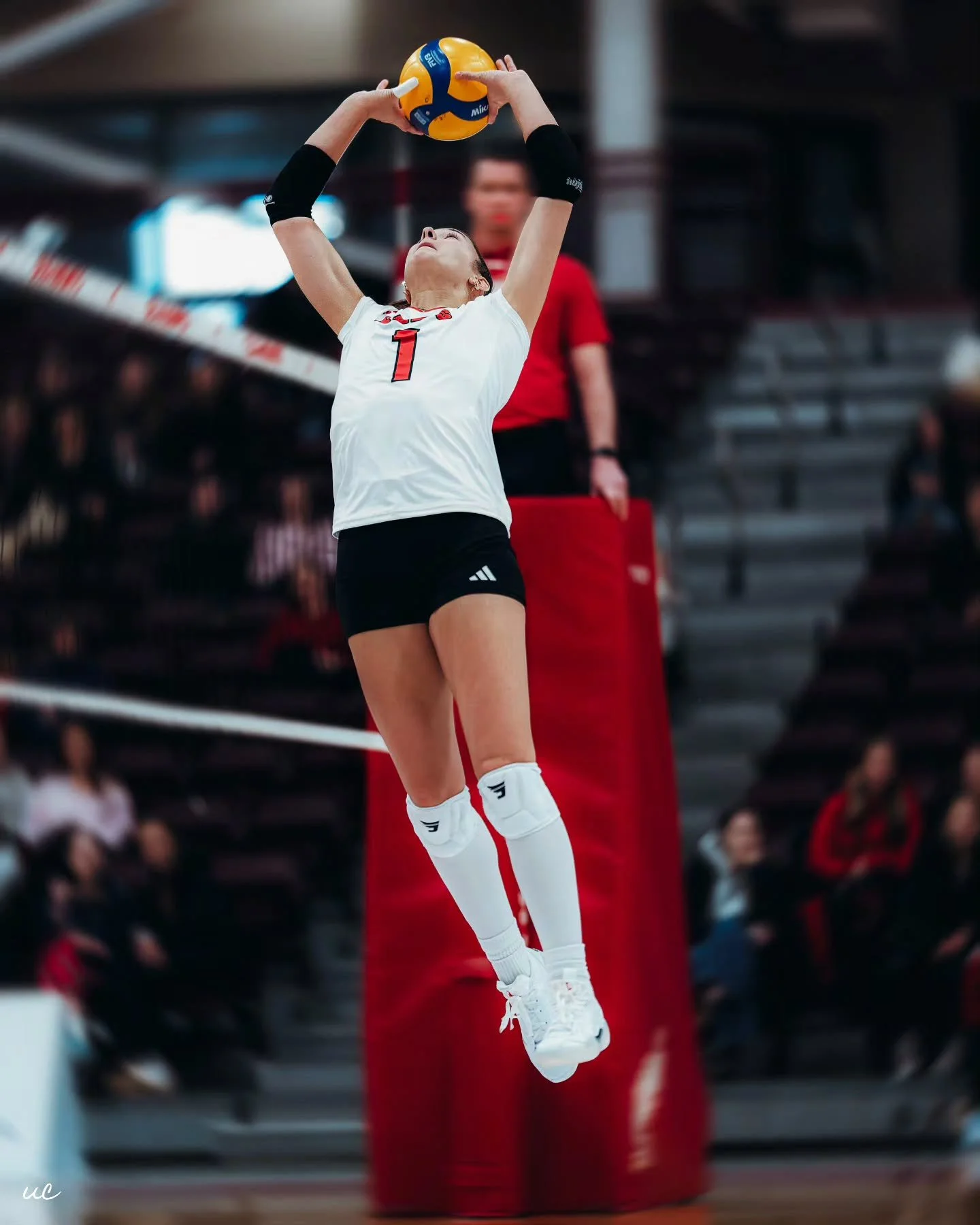 Flying setter 🏐🍃
One of my favourite volleyball shots I&rsquo;ve ever captured 📸 frozen mid-air from the AUS MUN vs UNB WVB weekend at the Fieldhouse.

#AUS #NikonZ9 #USPORTS #SportsPhotography