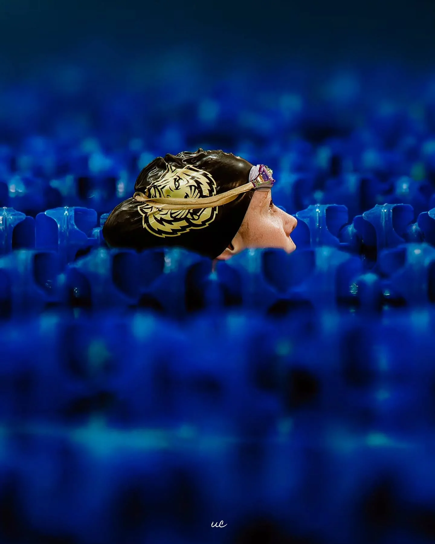 Long weekend at the Aquarena capturing @usportsca @aus_sua Swimming Championships hosted by @munathletics. Sharing one my favorite captures thus far today 🏊🏽&zwj;♂️📸 @nikoncanada

#swimming #usports #nikonz9