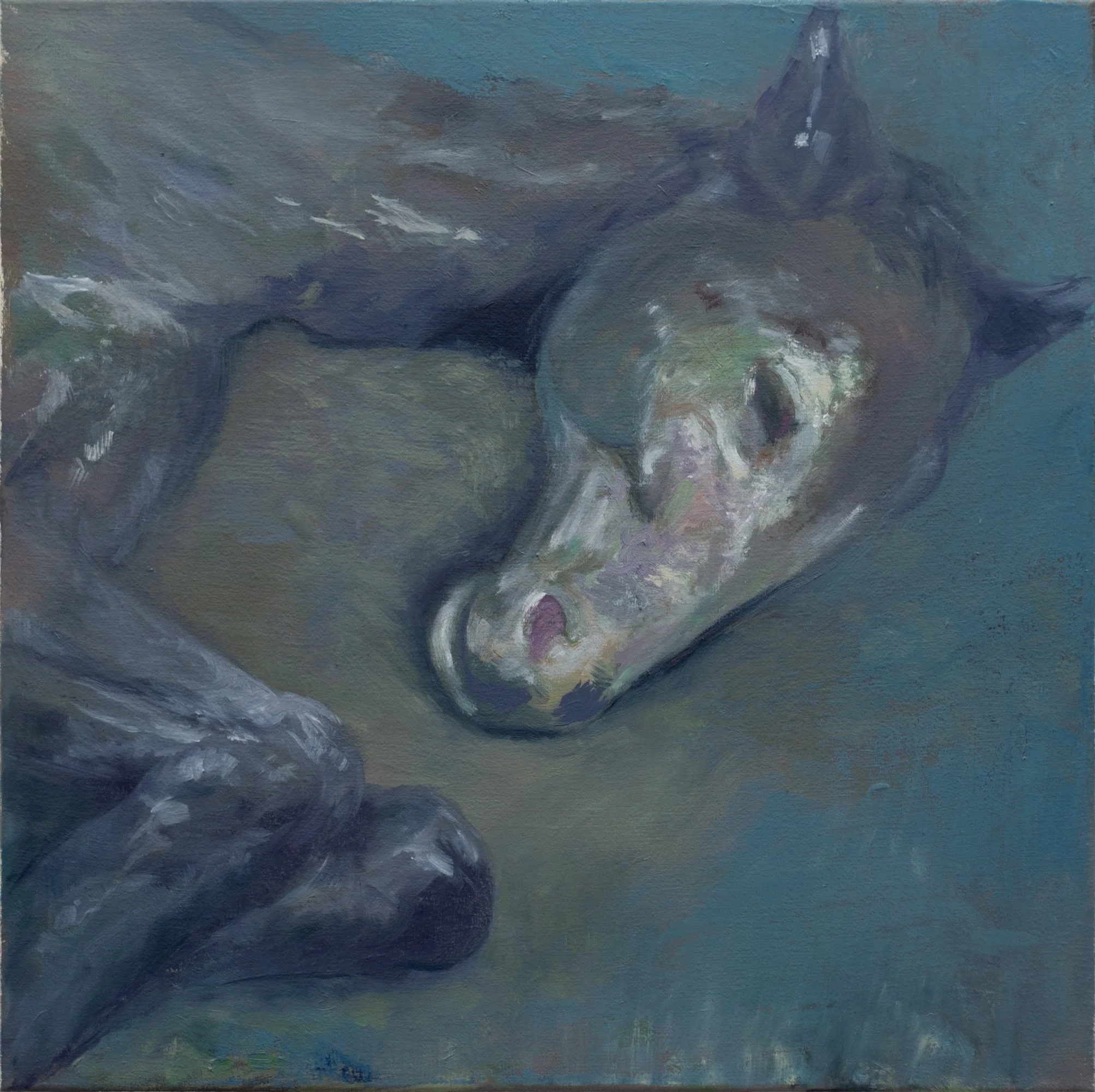 Idle Moments, Oil on Canvas, 50 x 50 cm, 2025
