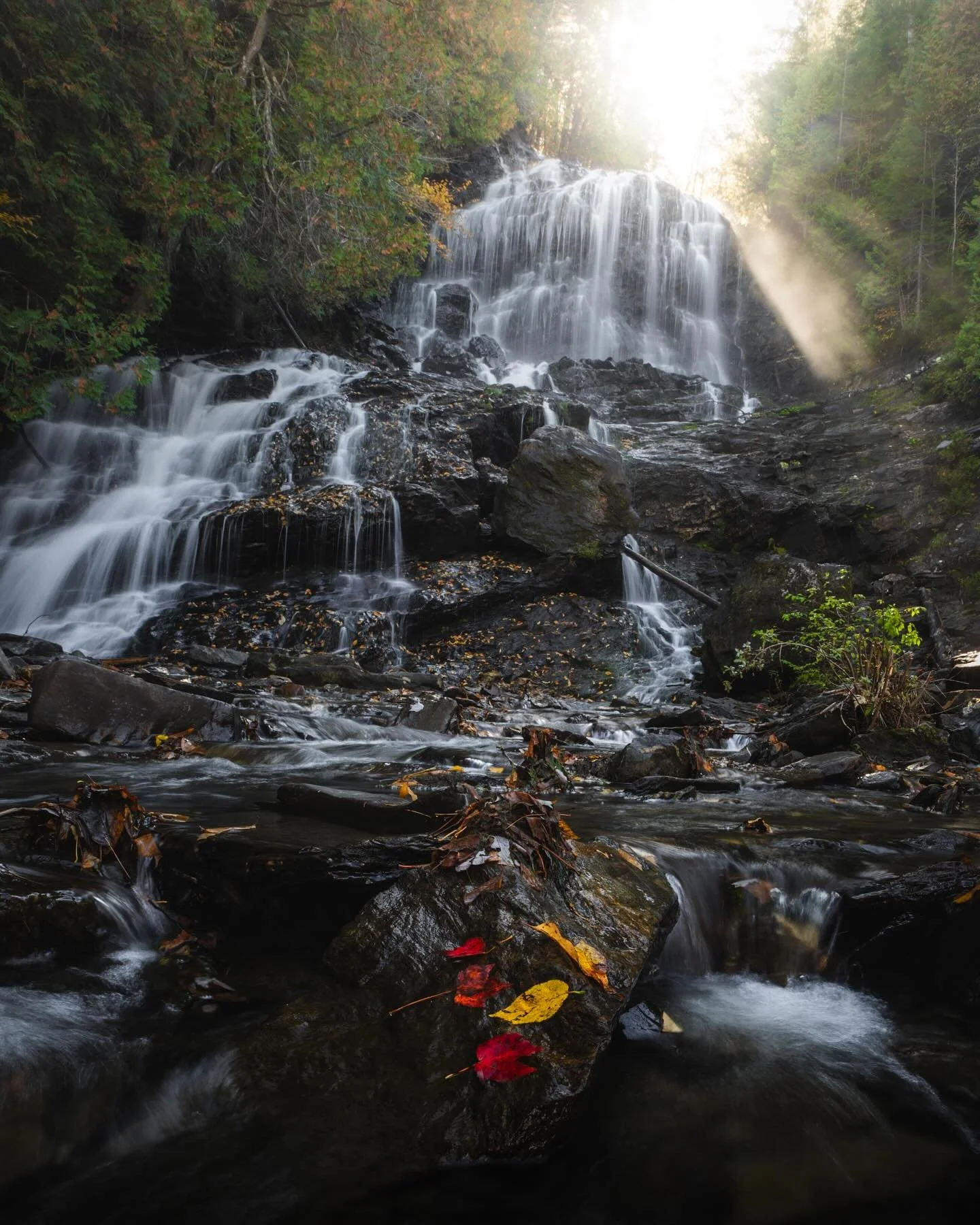 Morning light at this roadside gem. Didn&rsquo;t have long to shoot it as the clear skies do not play well with waterfalls that are as open as this one, but loved the way the sun peaked over the top of the cascade shining rays through the pines light