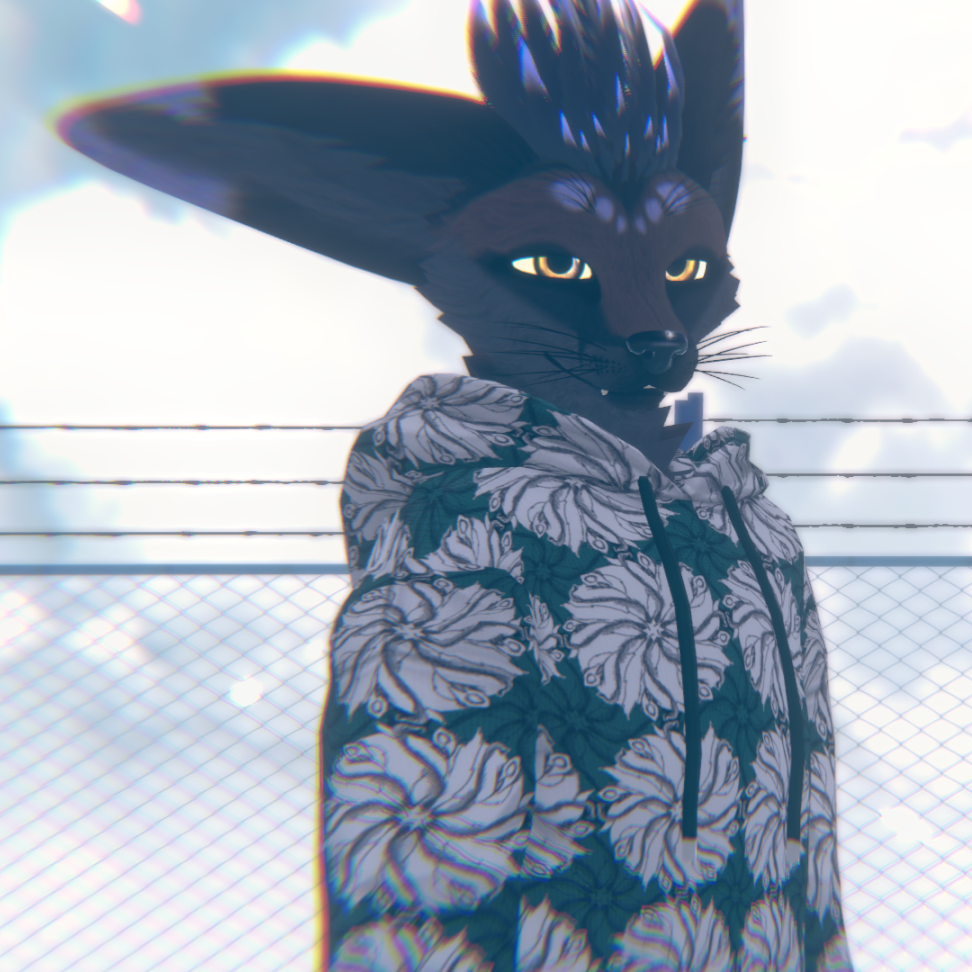 Digital Hoodies - Tails