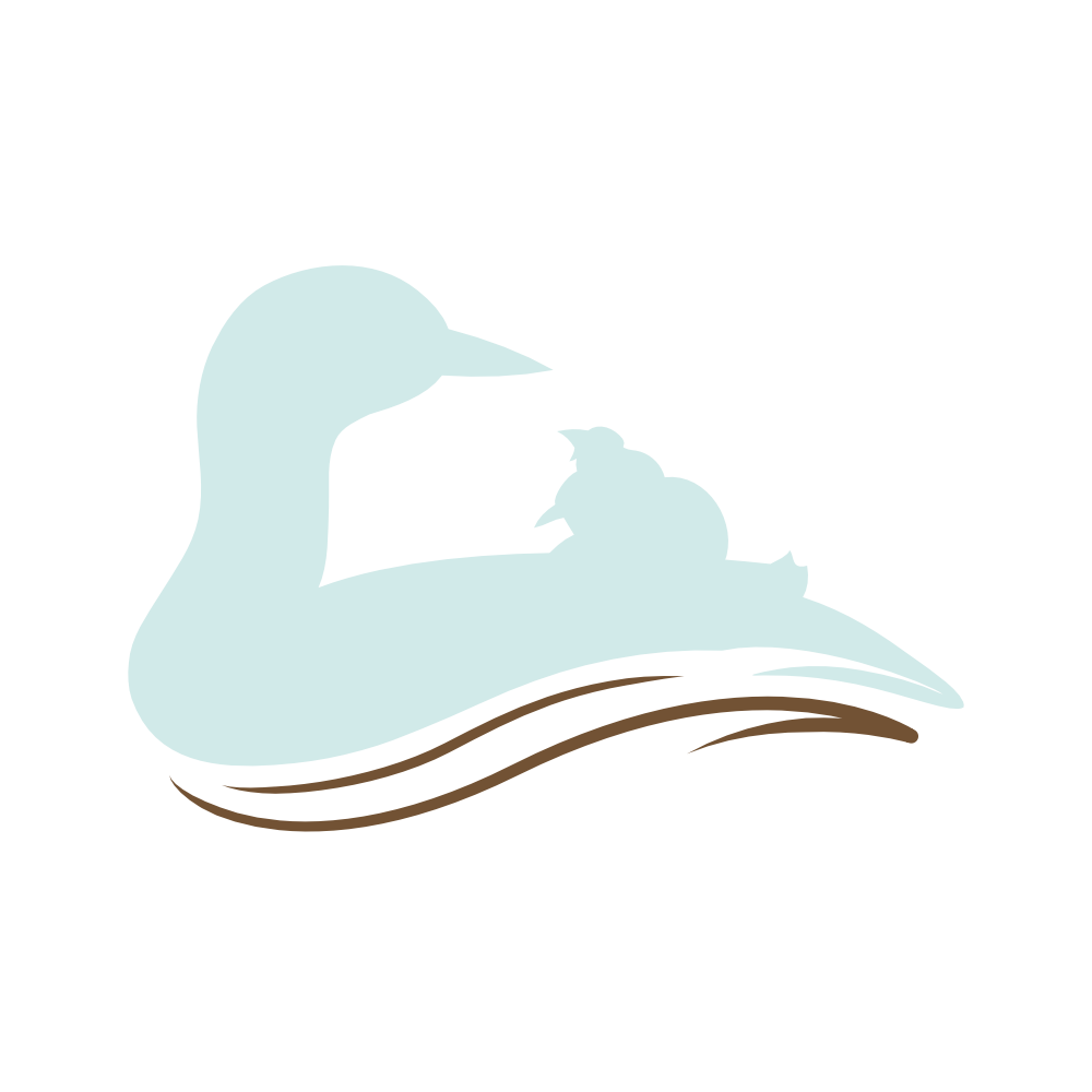 Loon Lagoon