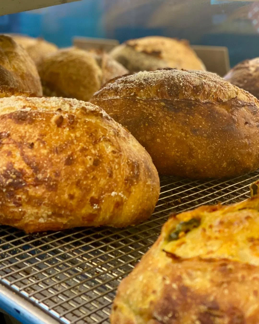 Fresh sourdough out of the oven! 
We have Olive Sourdough, White, Four Cheese Sourdough, and Cheddar Jalape&ntilde;o Sourdough. There&rsquo;s also lots of sweet options like Cinnamon Brioche Buns, and Peach Raspberry Scones.