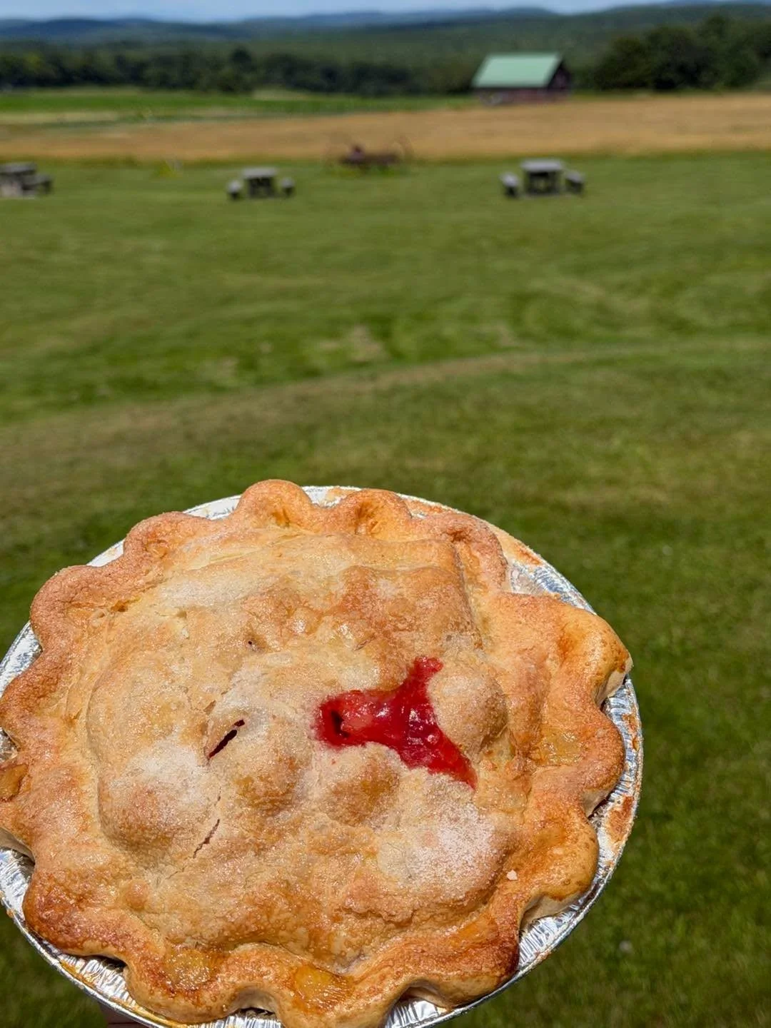 A pie overlooking the orchard on a beautiful day, there&rsquo;s nothing better! 
We have Blueberry, Apple, Three Berry, and Strawberry Rhubarb pies either available or to order-ahead!