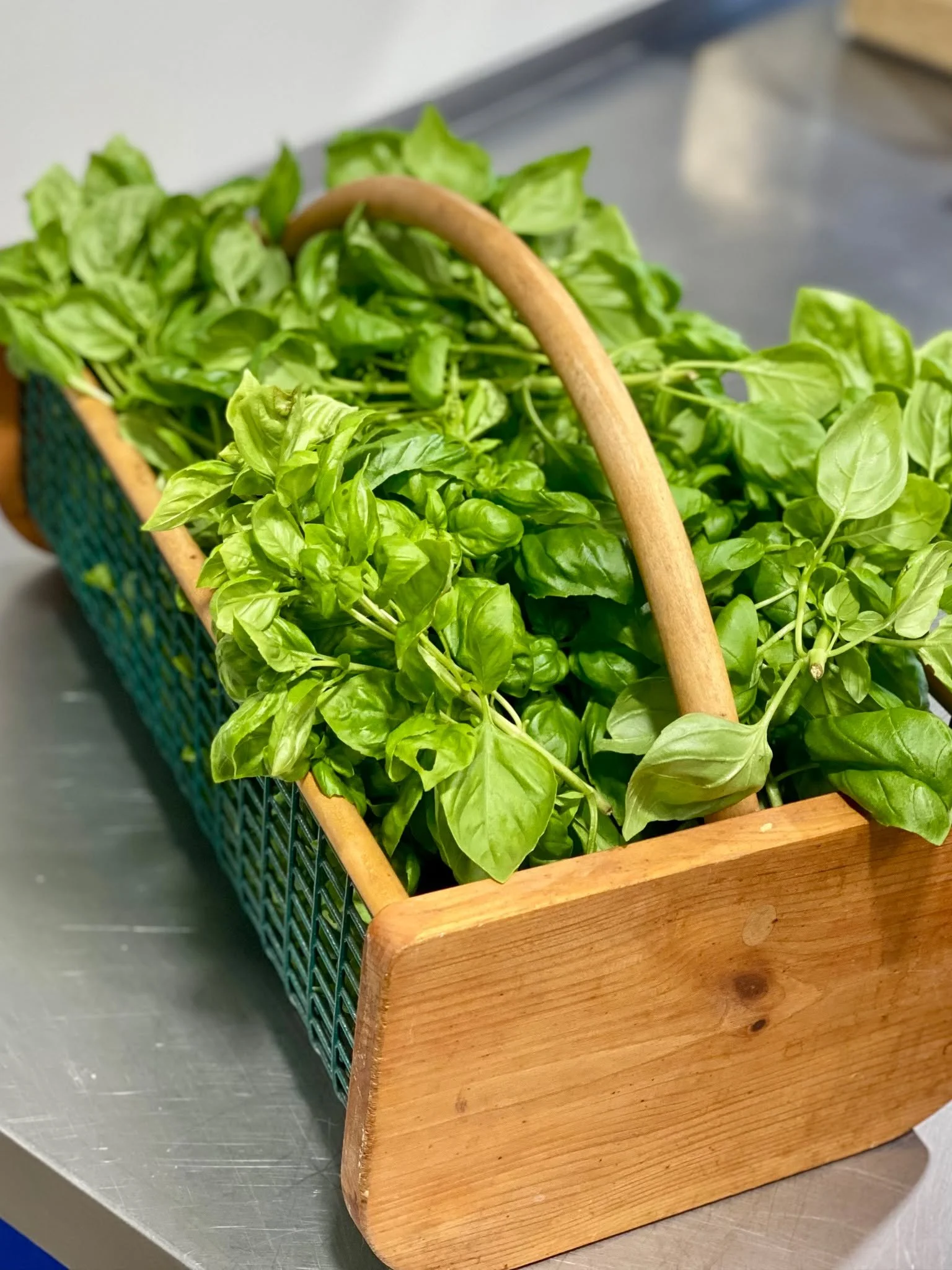 Summer means fresh herbs! Beautiful, bountiful fresh basil that will go in Entrees, deli salads and event top some flatbreads!