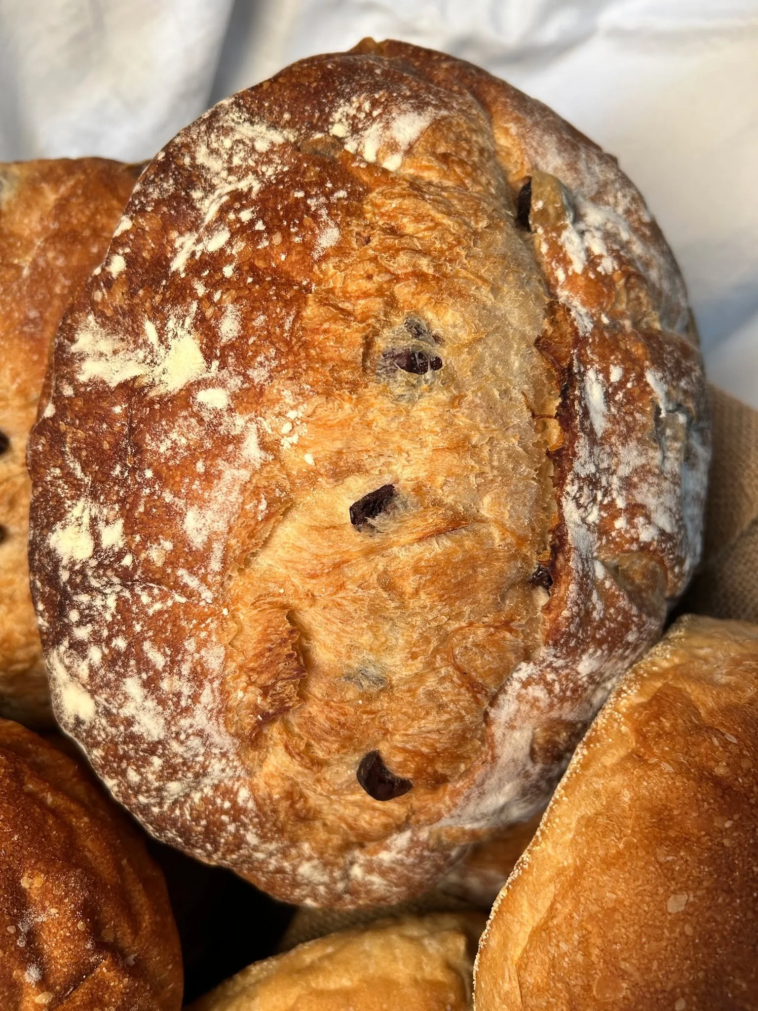 Sourdough fresh out of the oven this morning!