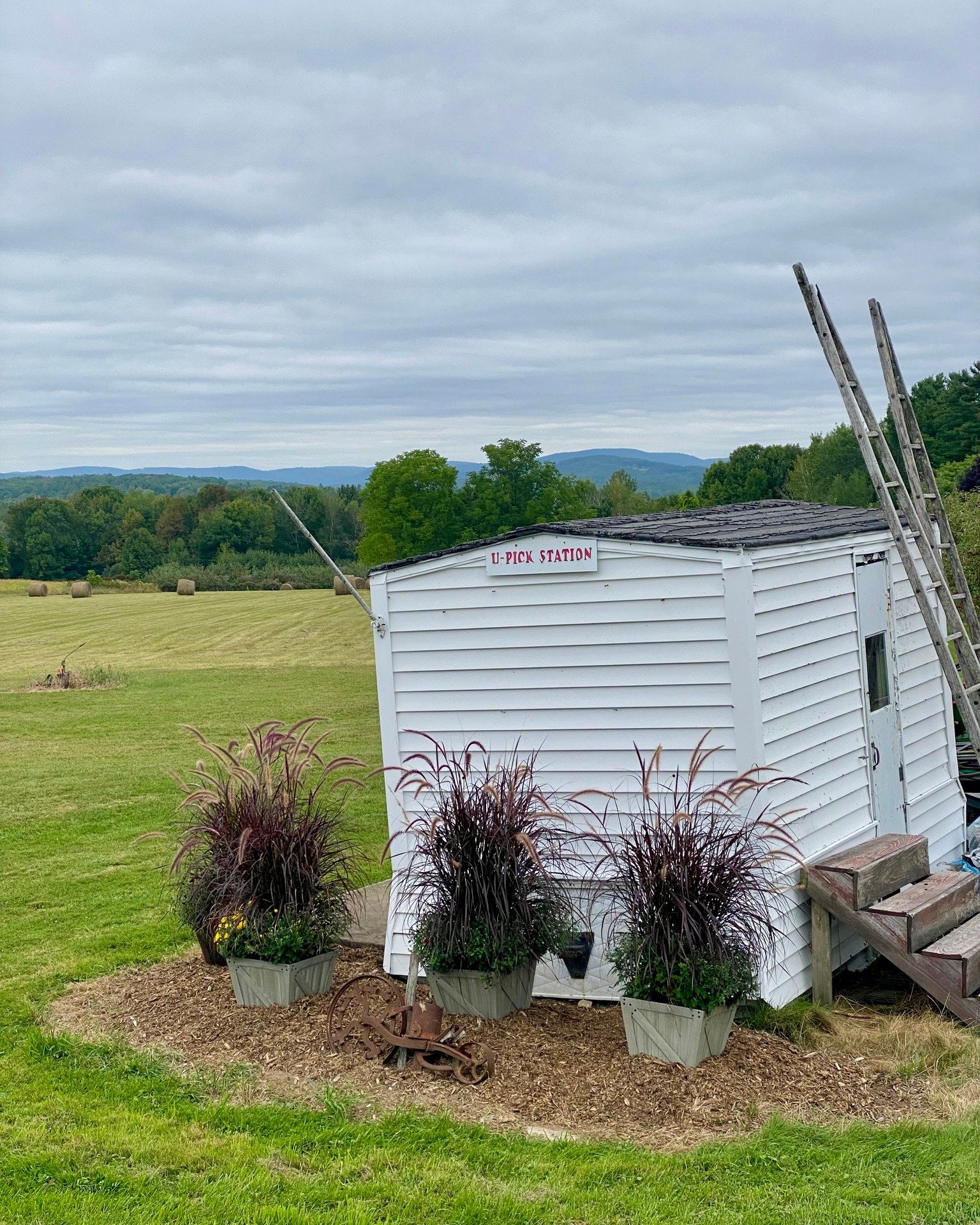 Happy Opening Day of Kents Hill Orchard! U-Pick apples is open!
And we have sweet treats, pies, and Apple Cider to go along with all the apples you're picking.