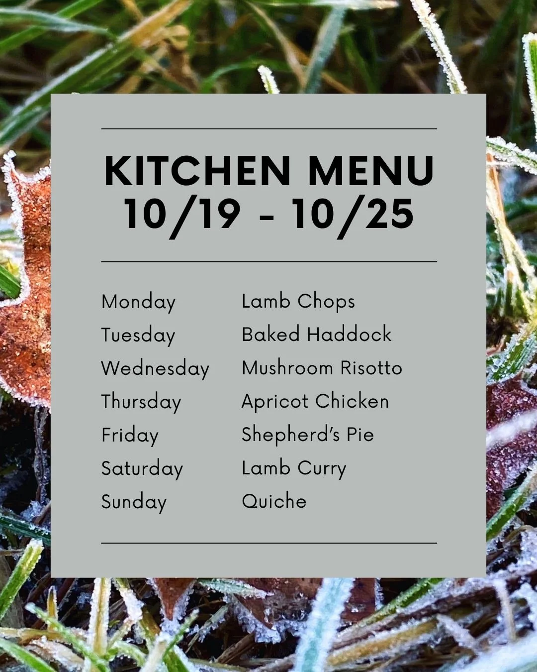 Scrumptious meals coming out of the kitchen this week!