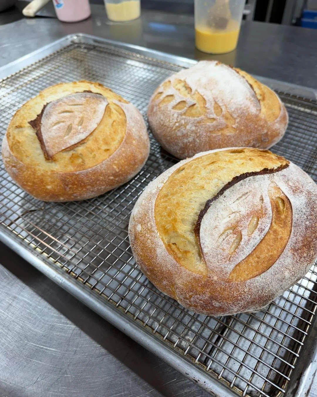 Coming out of the bakery right now! 
Sourdough, Mediterranean Focaccia, and Nutella Brioche Buns.