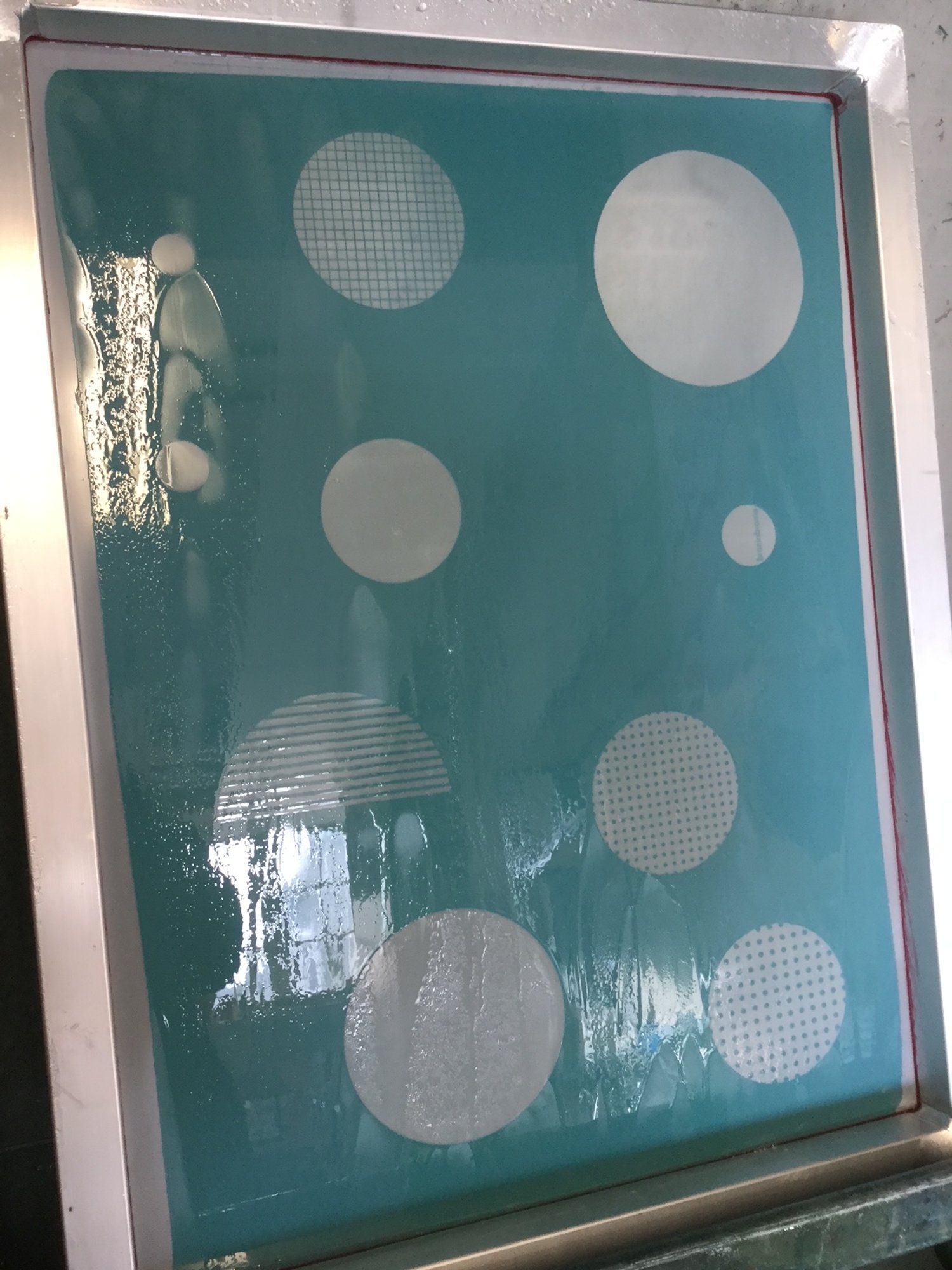 broniabronia_screen 7.JPG