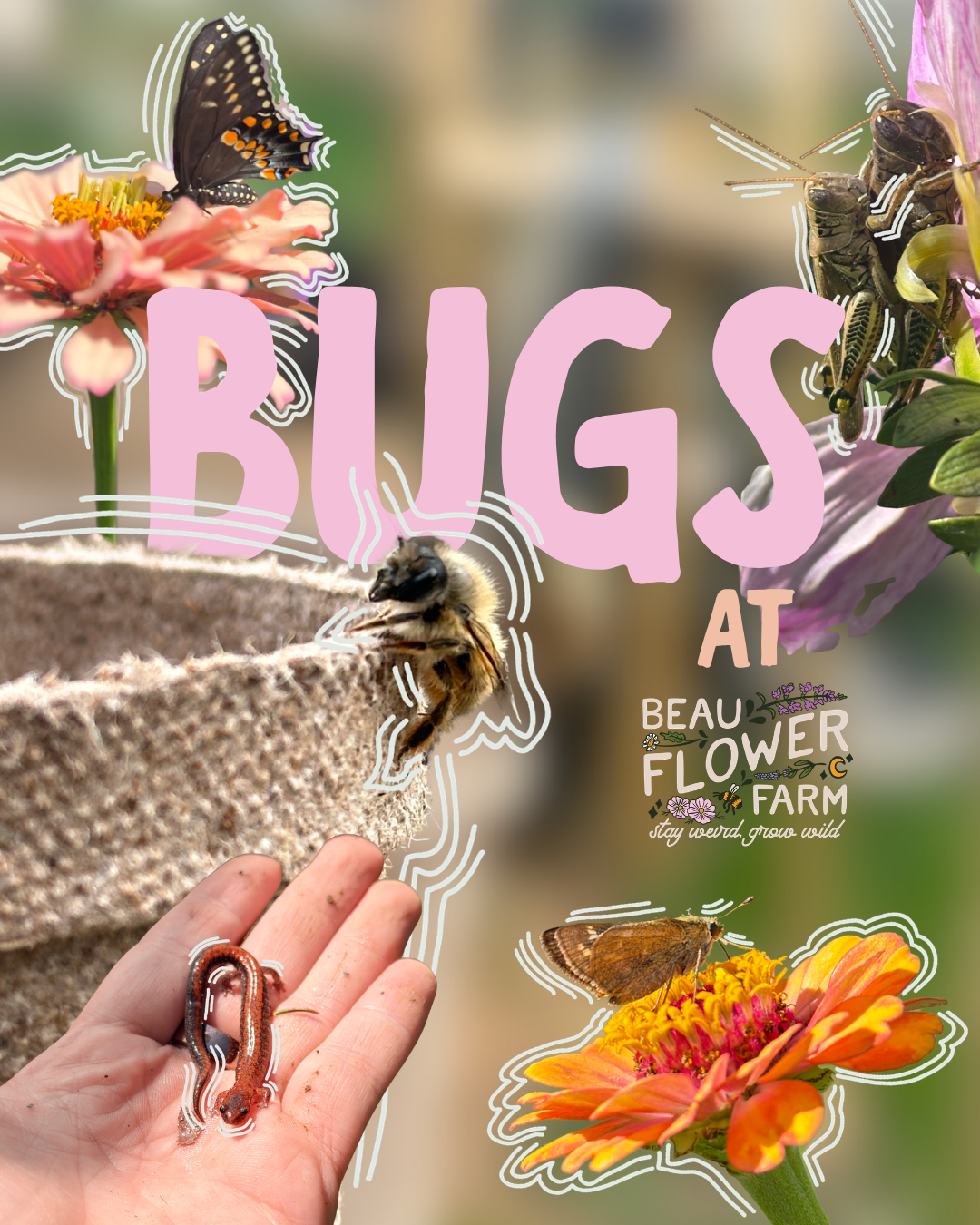 BUGS.png
