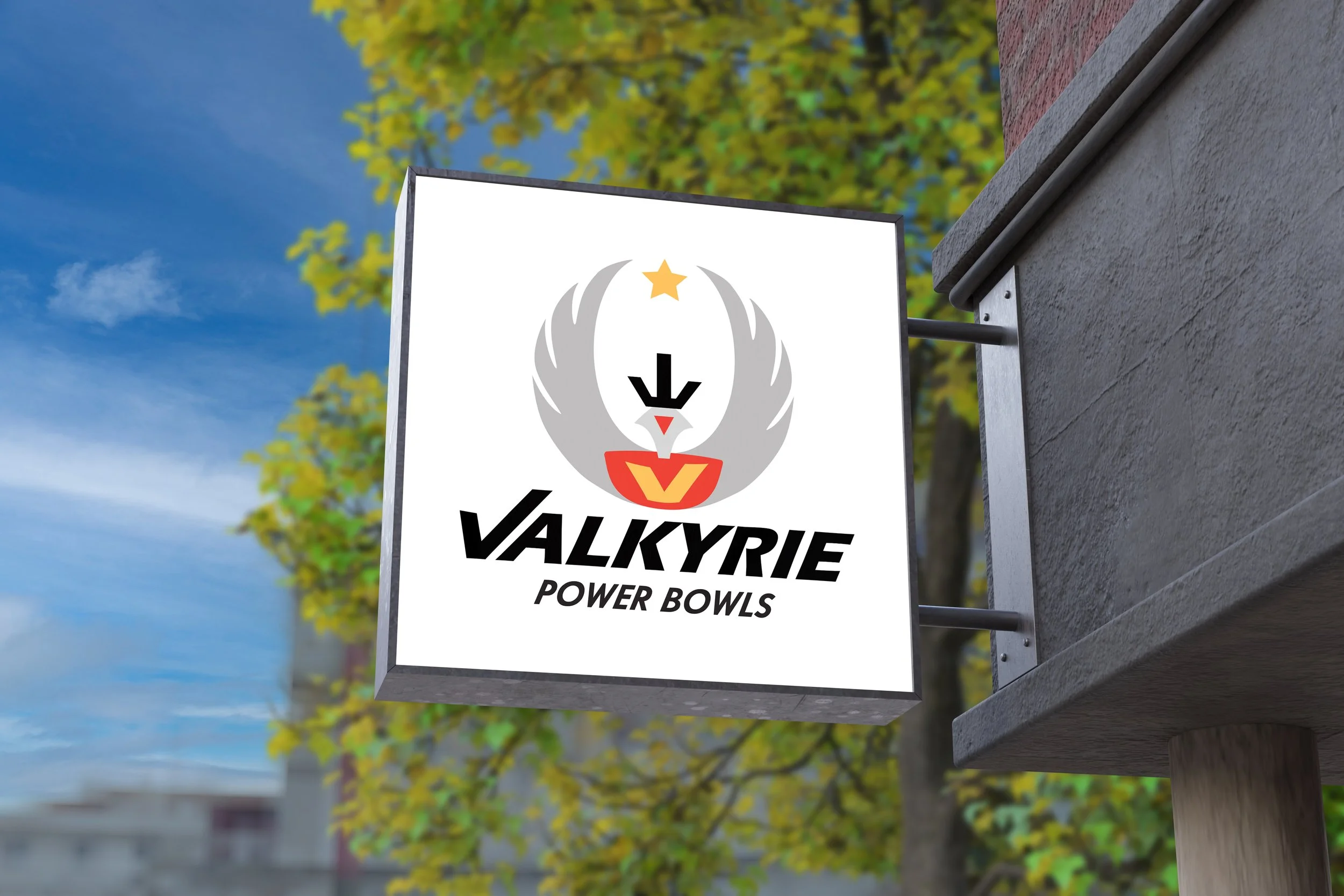 Valkyrie Power Bowls