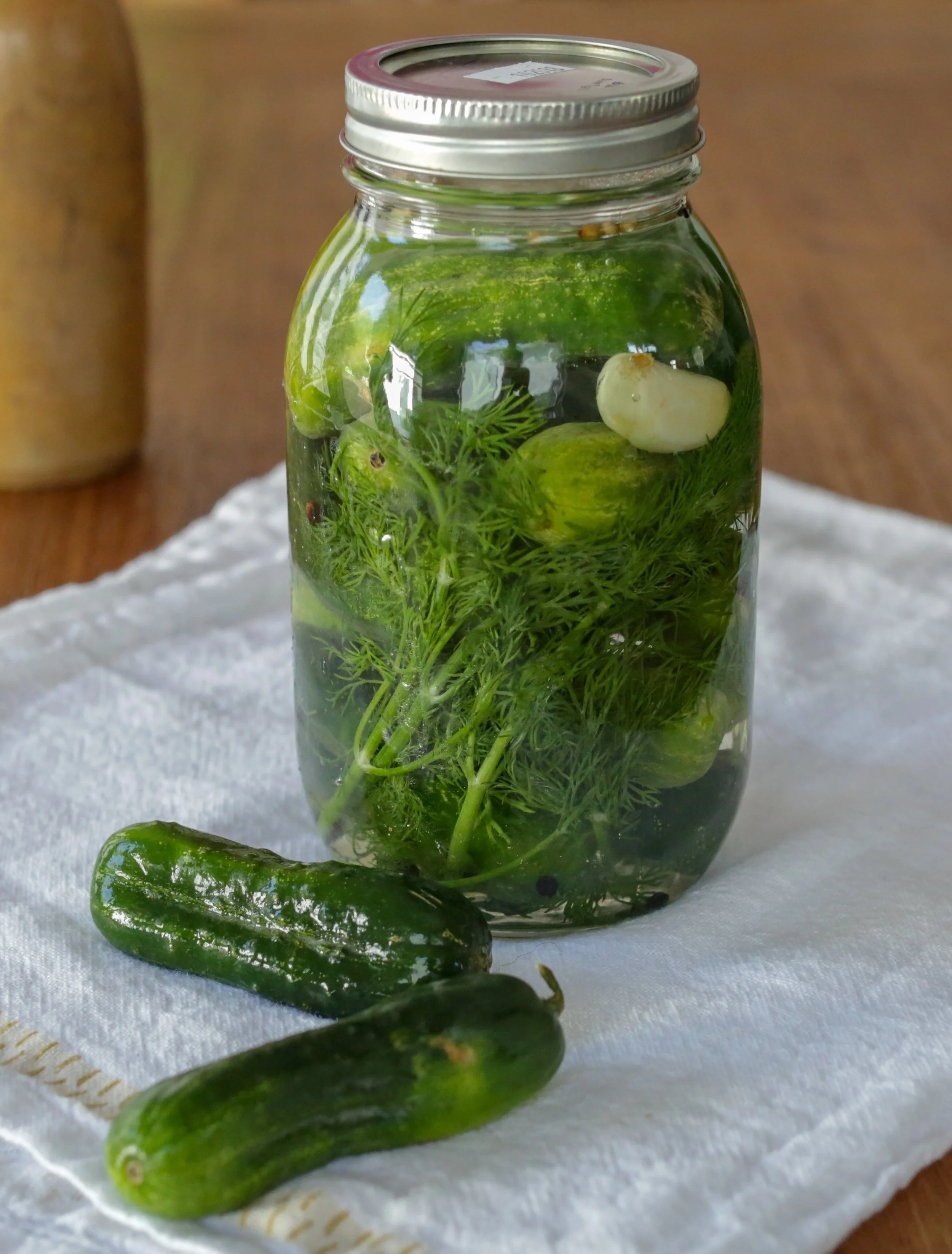 fermented-pickles (1).jpg