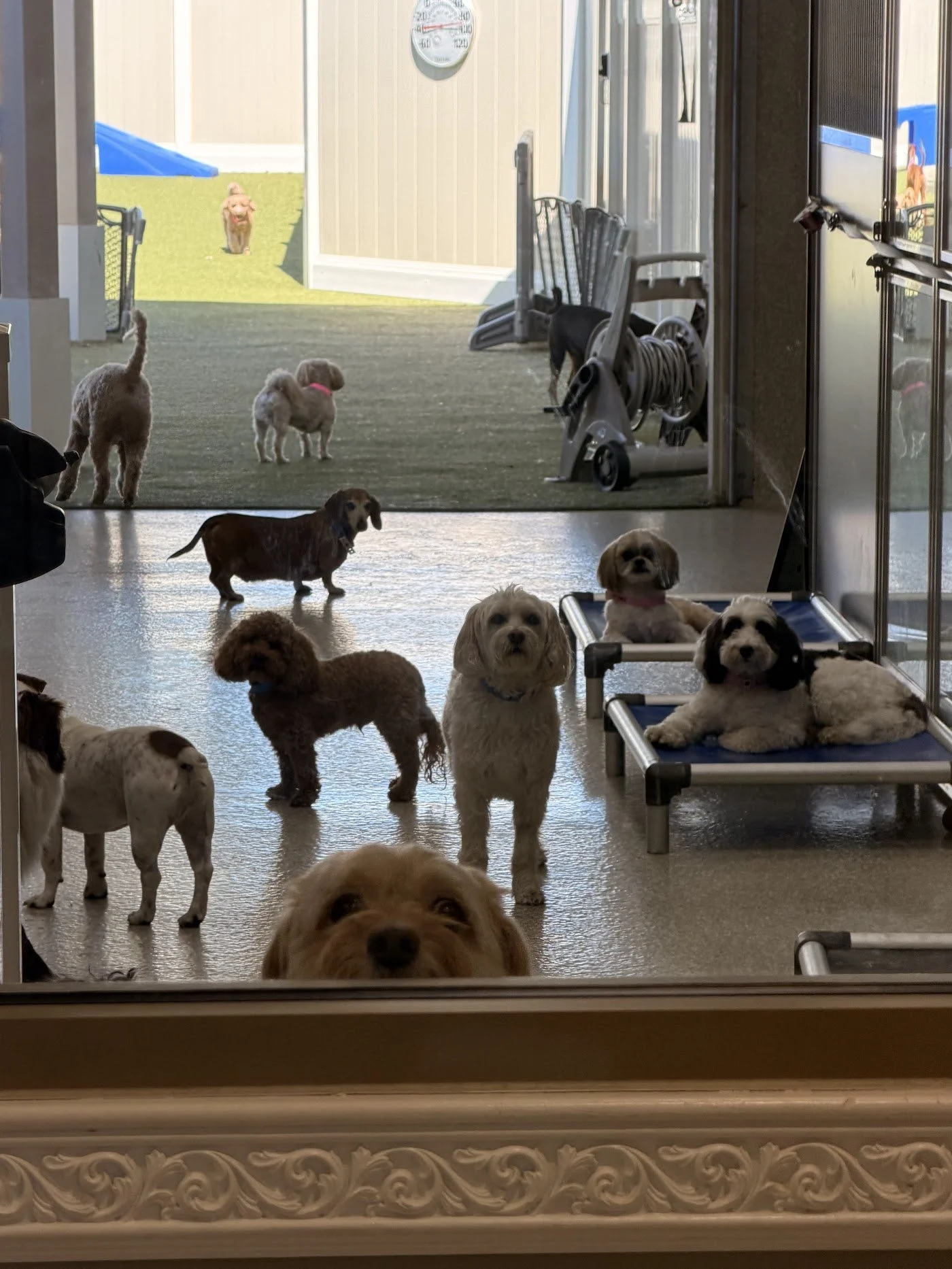 WE MADE FRIENDS!