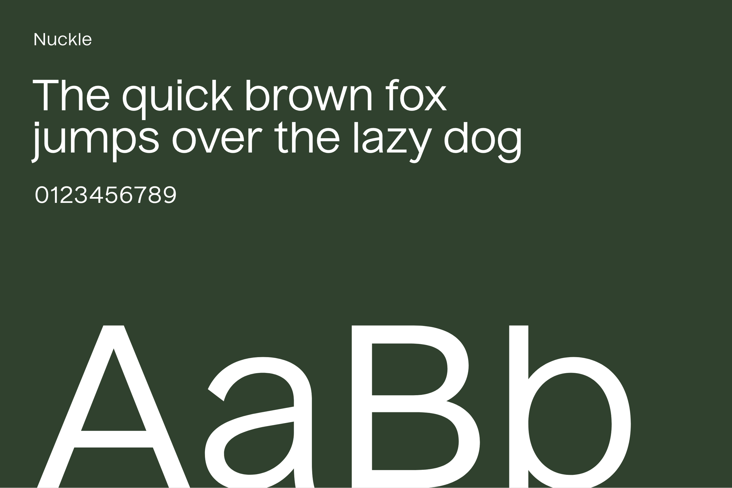 Pearll - typeface.png