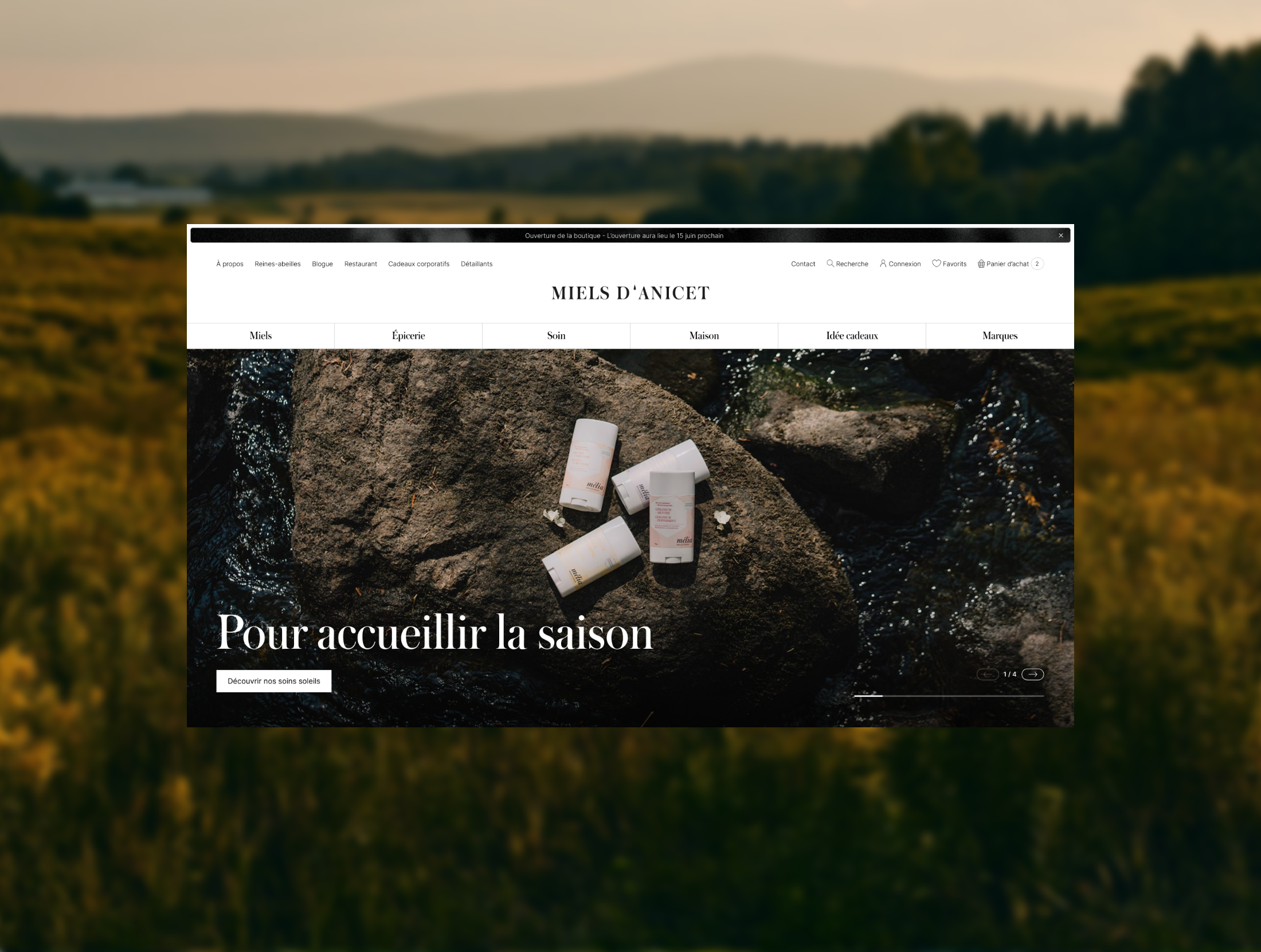Miels d'Anicet - Design interactif