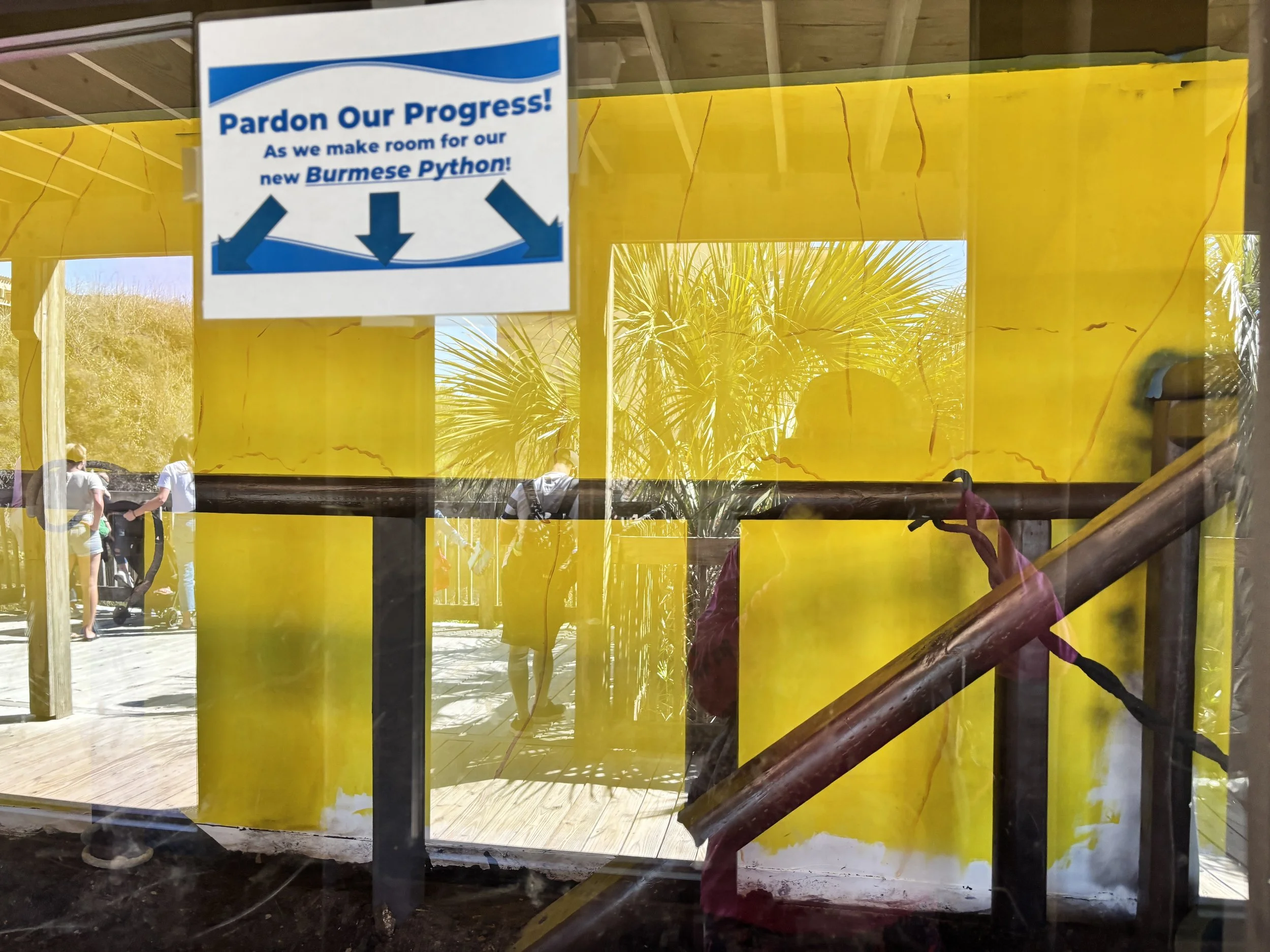 Photo Mar 18 2025, 2 46 31 PM.jpg