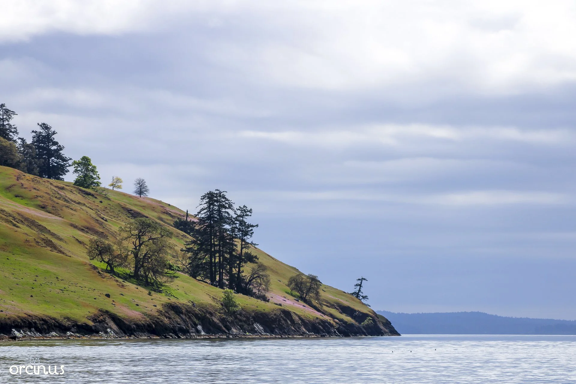  4.19.25 
 
spieden island
 
san jan, wa