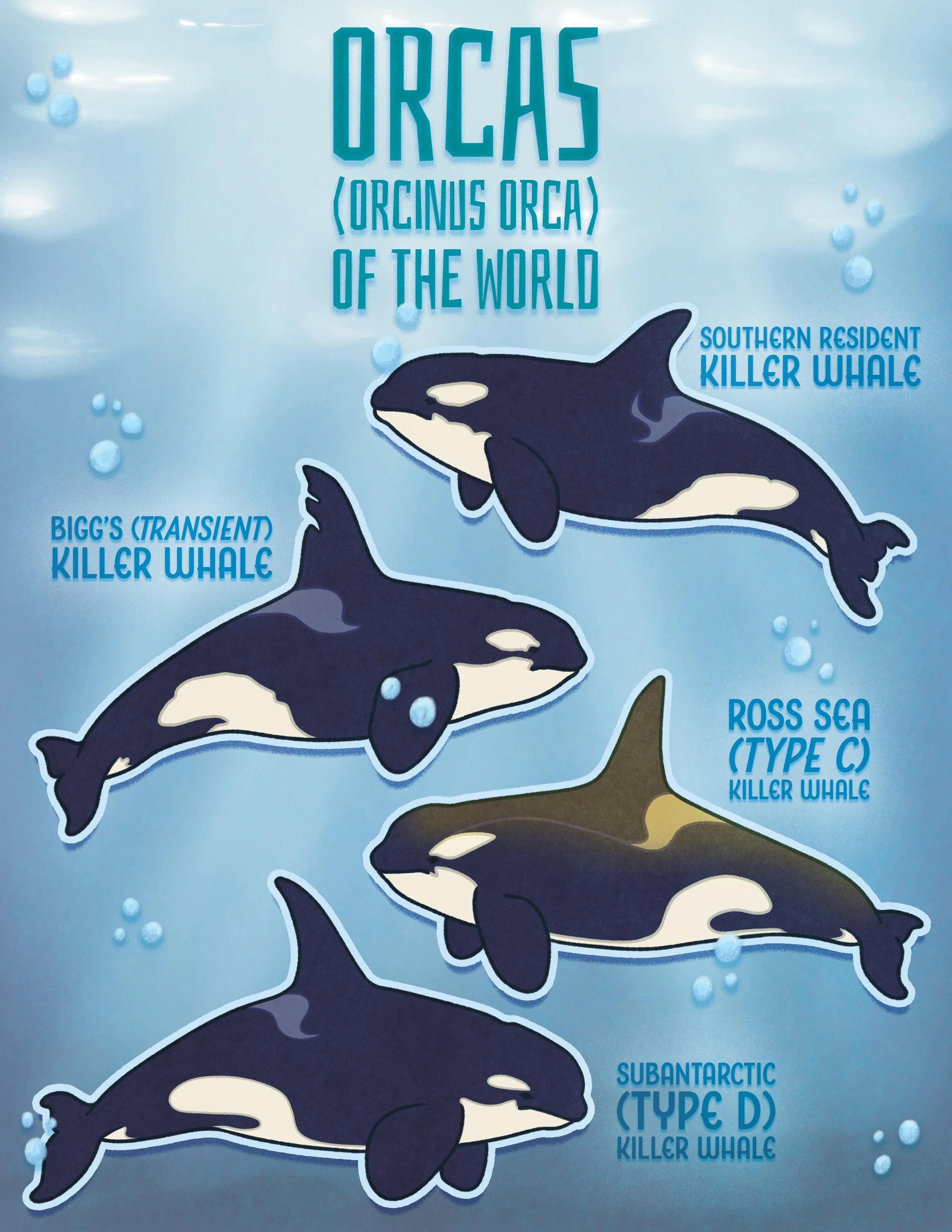 Orca Poster.jpg