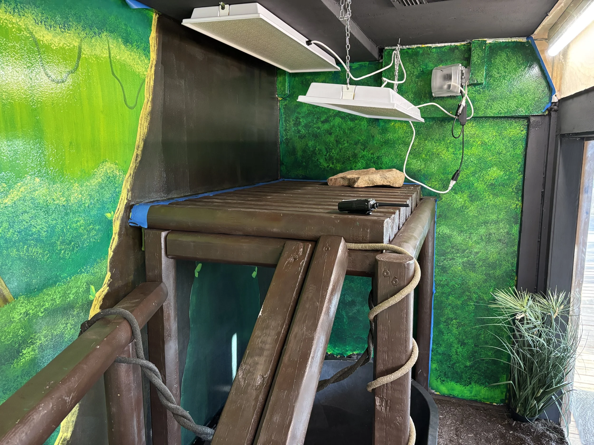 Photo Mar 22 2025, 5 36 22 PM.jpg