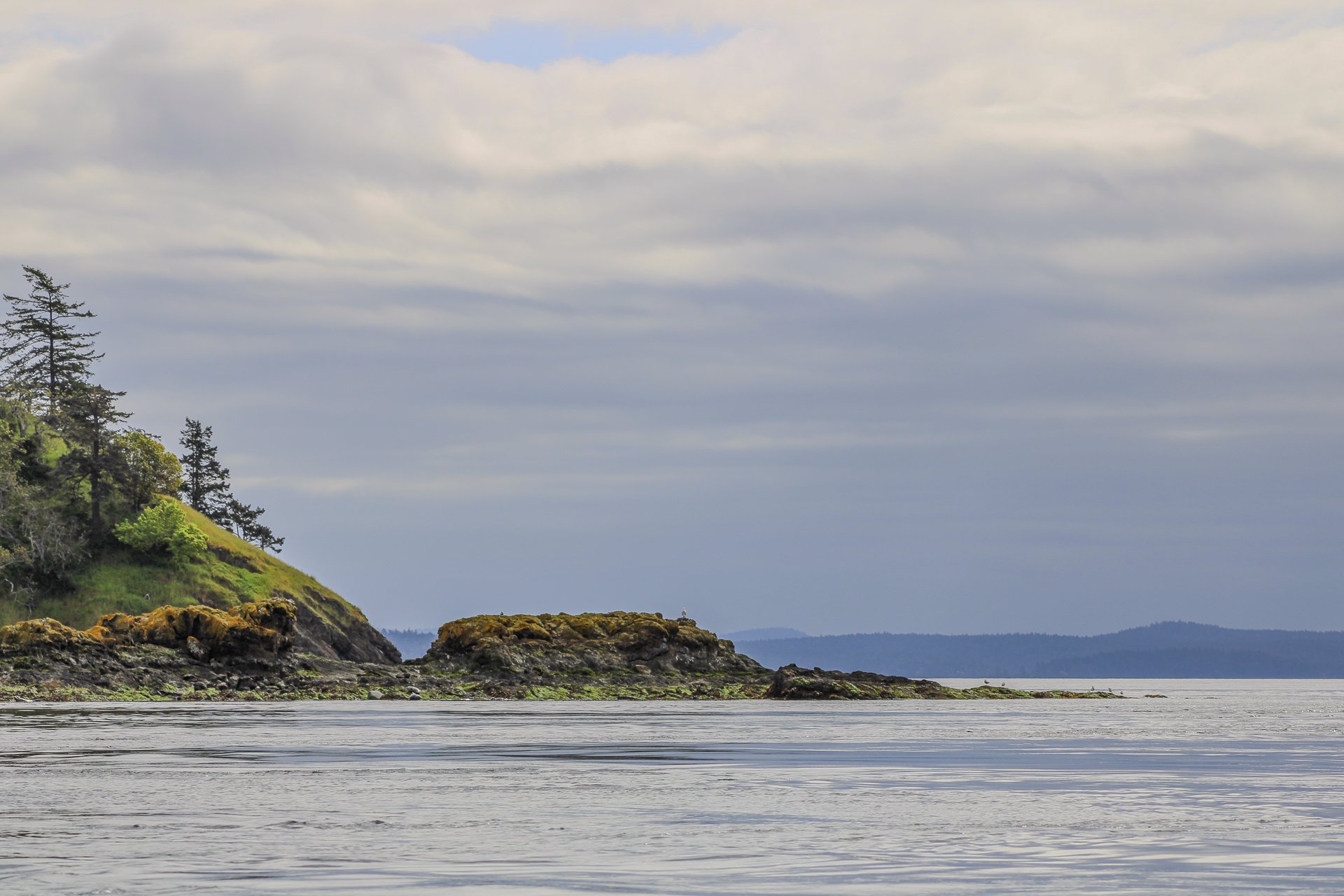  4.19.25 
 
spieden island
 
san jan, wa