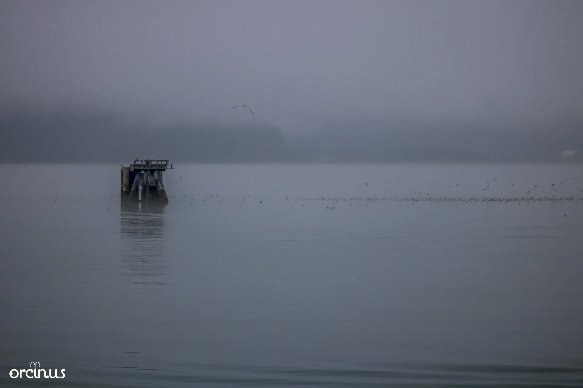  8.17.25 
 
resurrection bay
 
seward, ak