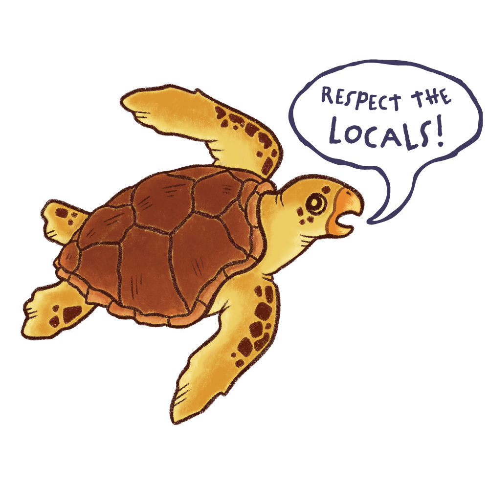 turtle_sticker.png